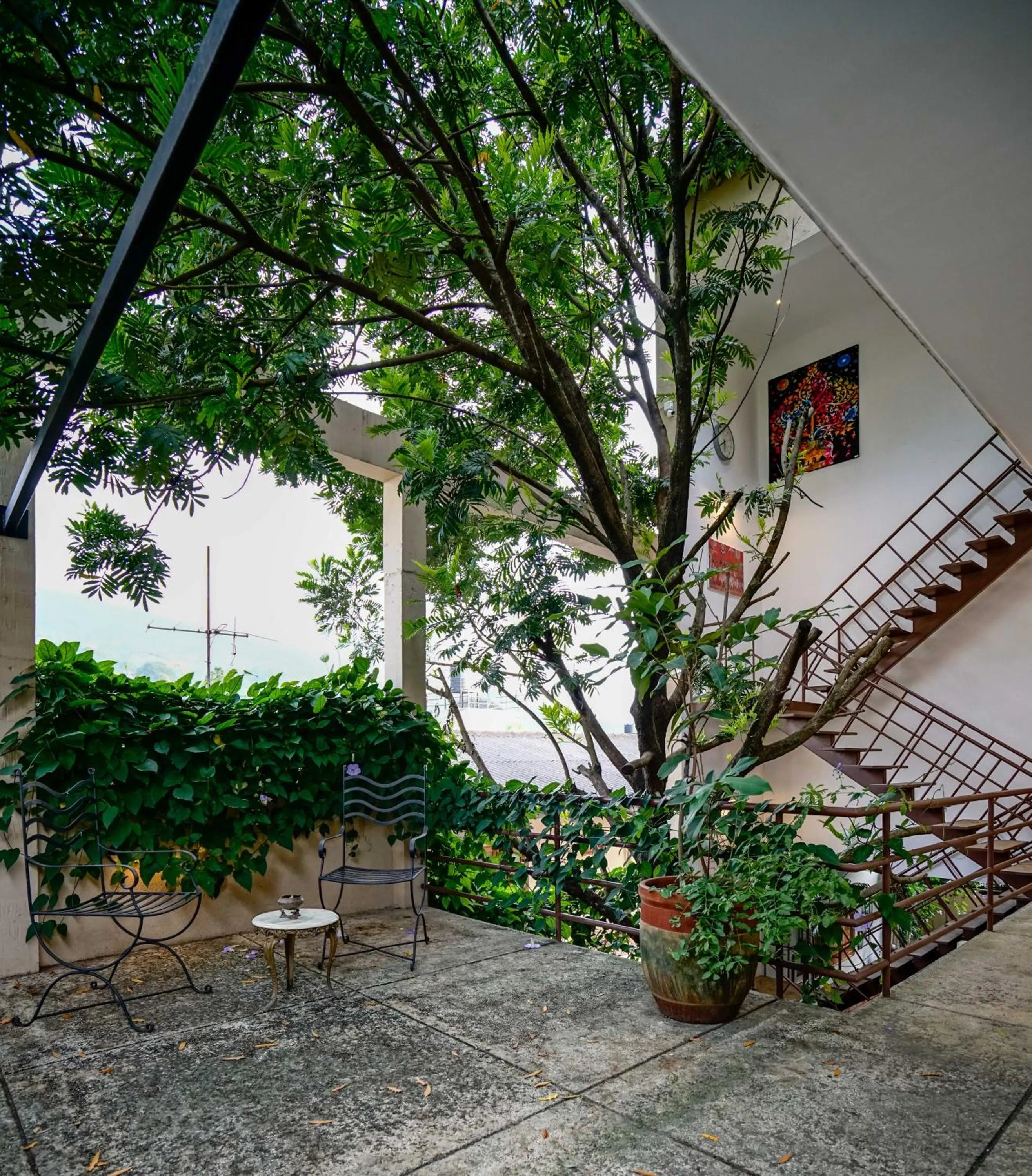 Garden in Atelier