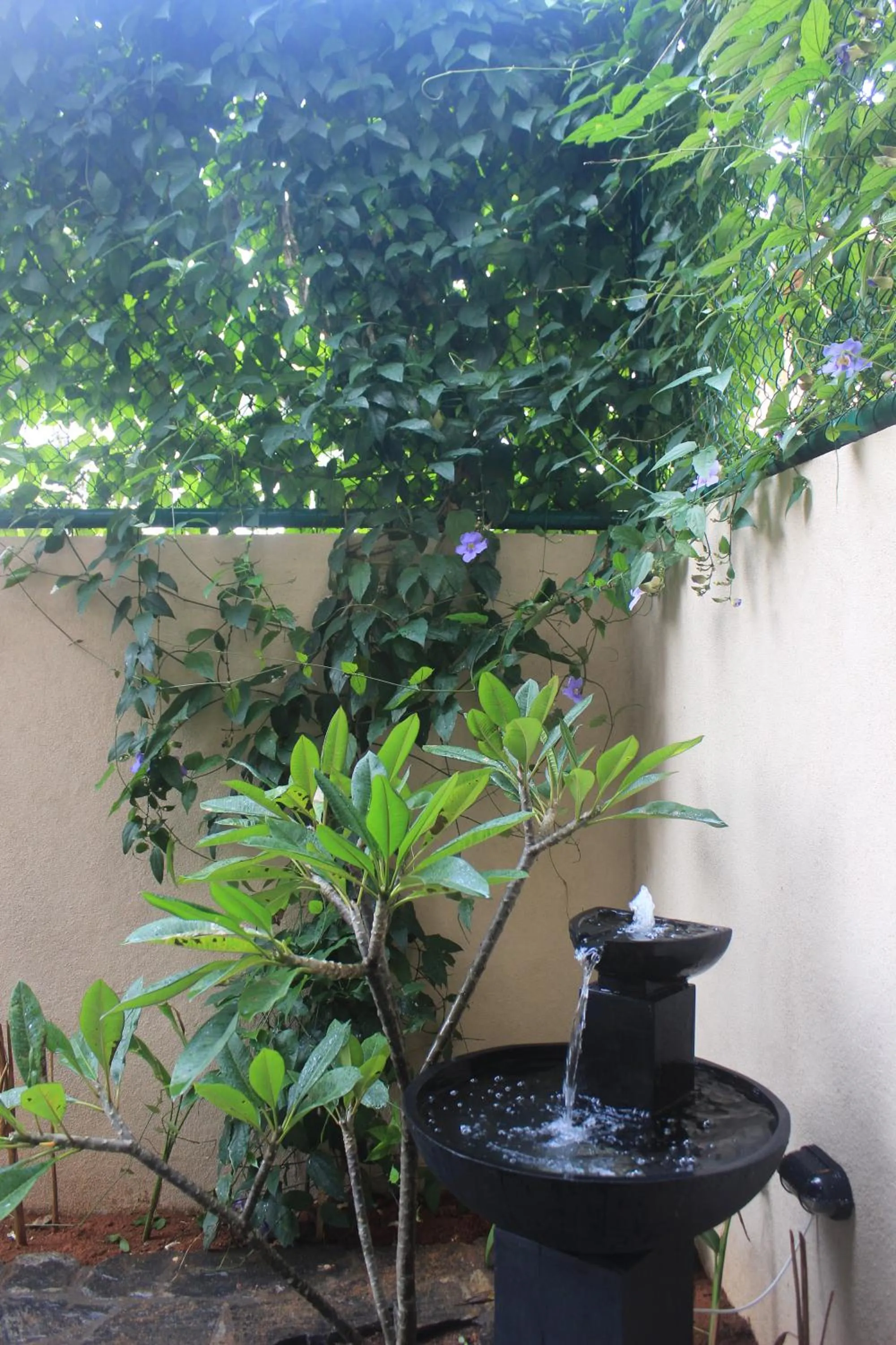 Garden in Atelier