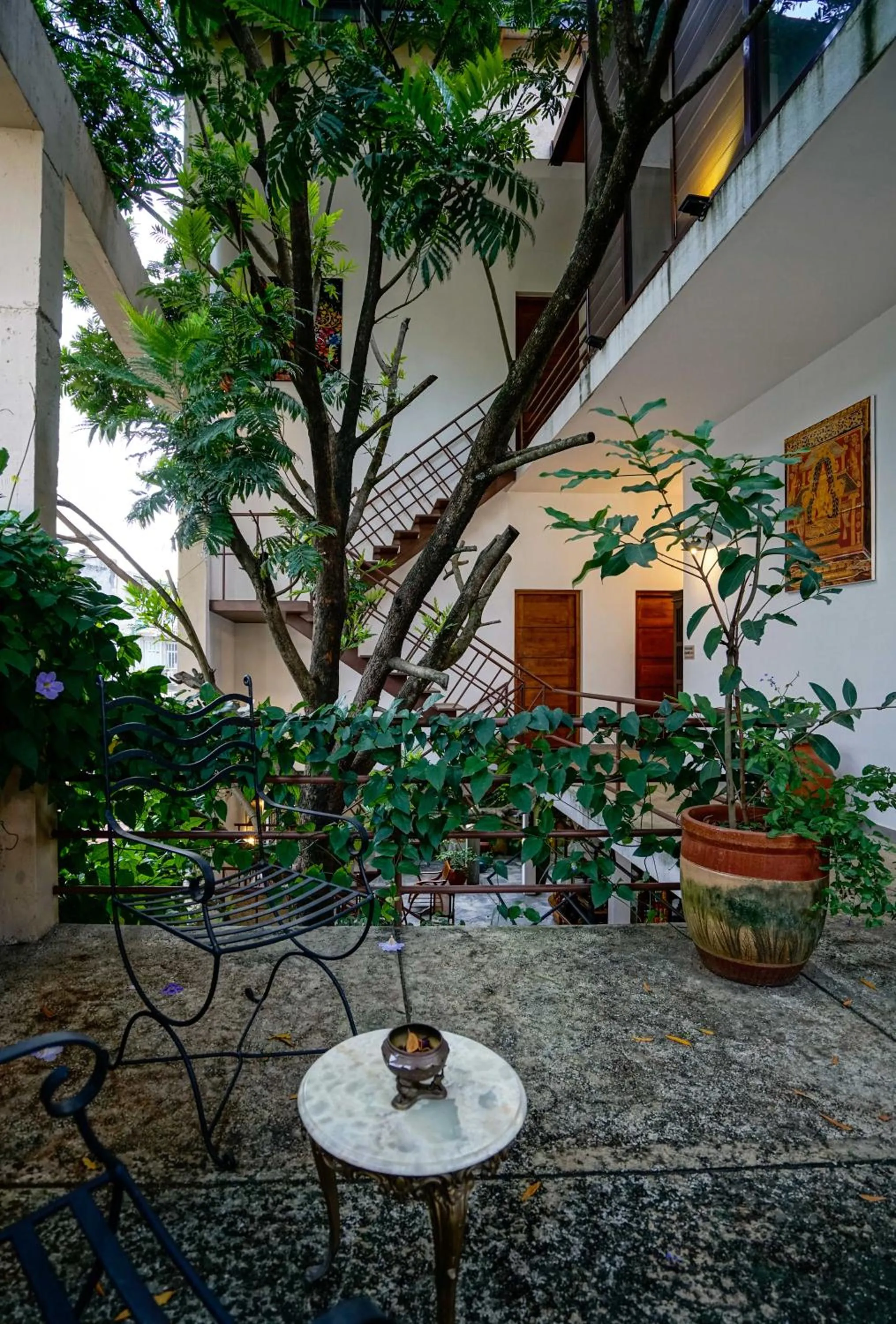 Garden in Atelier