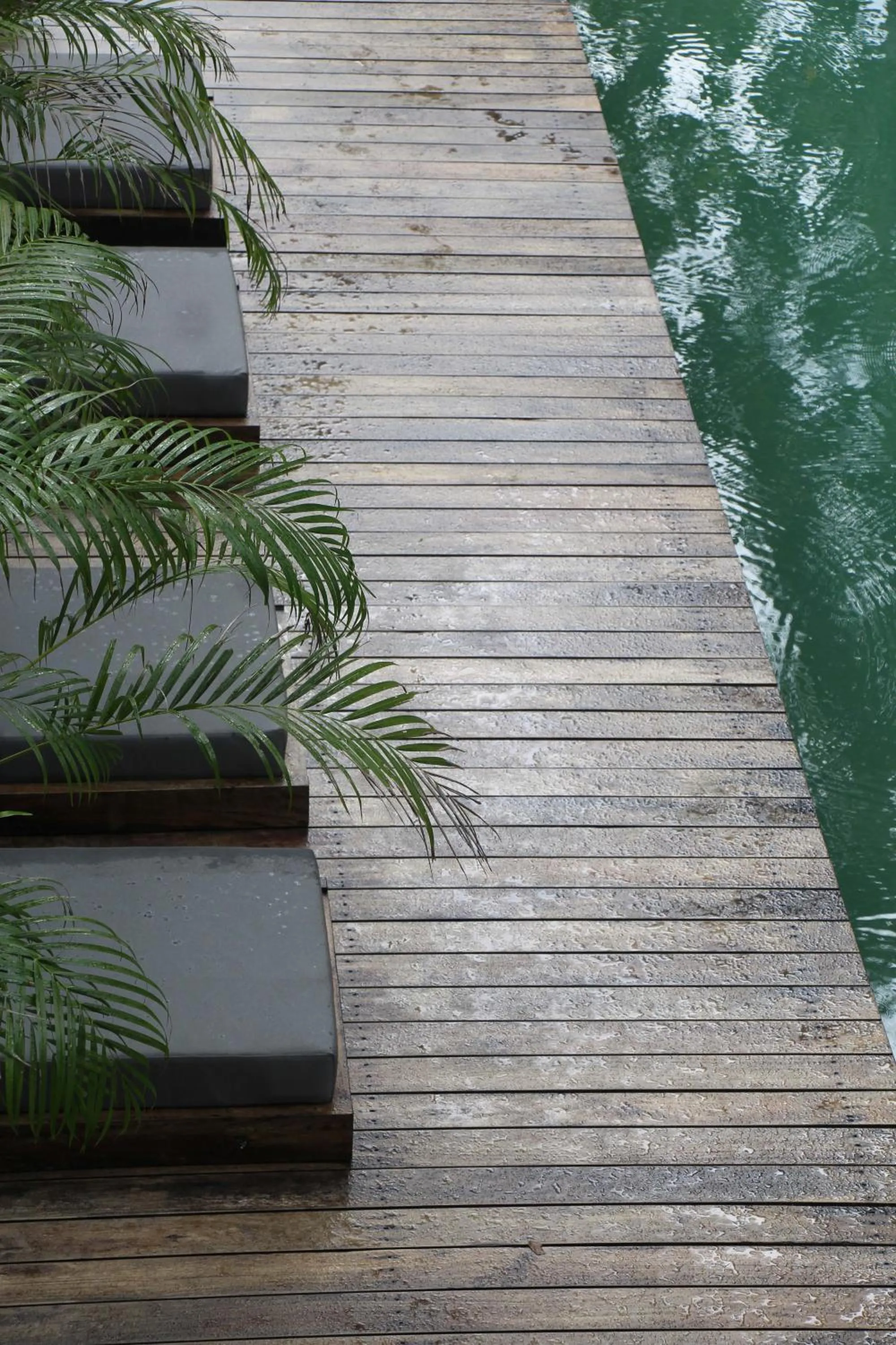 Swimming pool in KAJU GREEN eco lodges