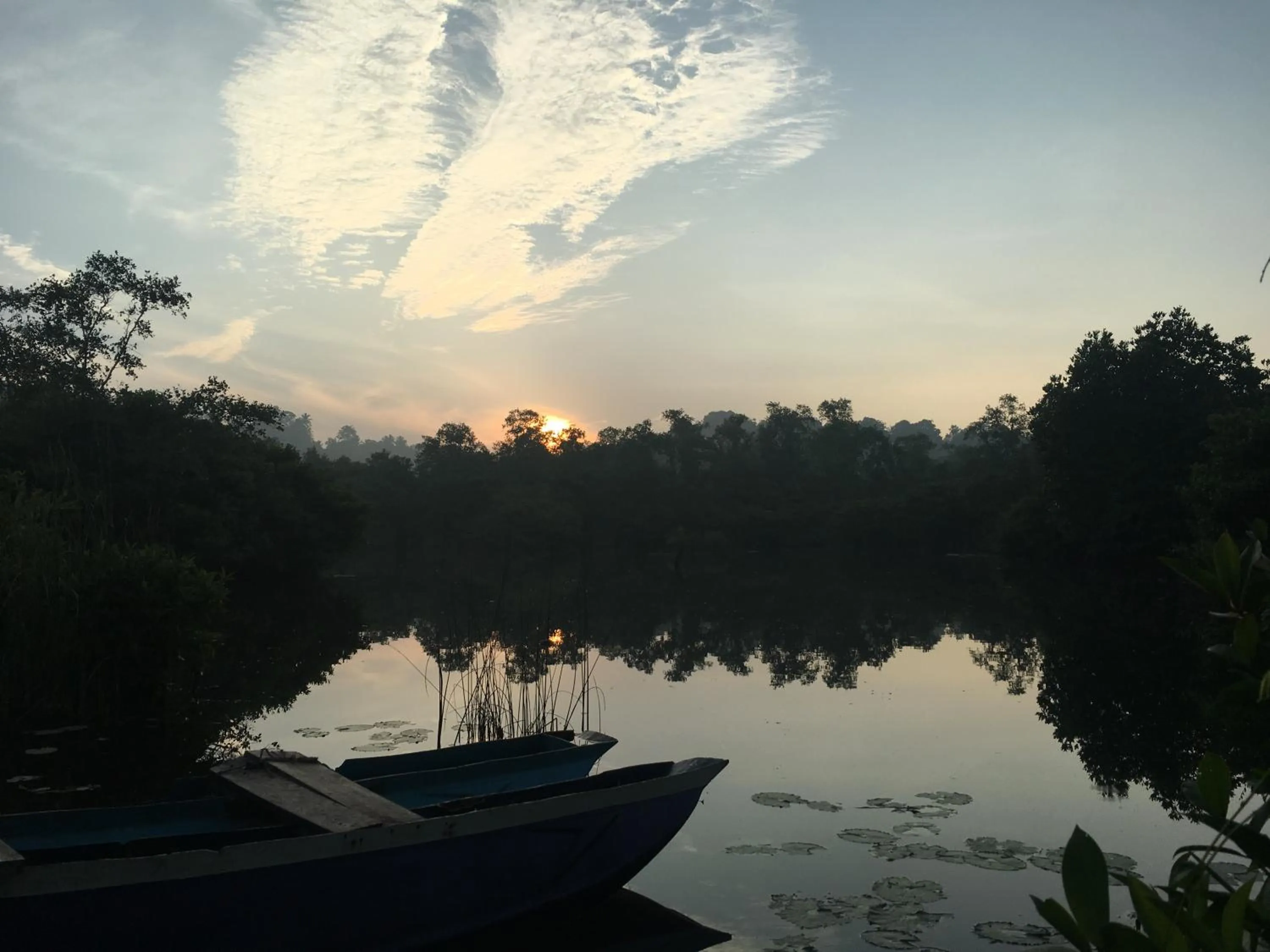 Natural landscape in KAJU GREEN eco lodges