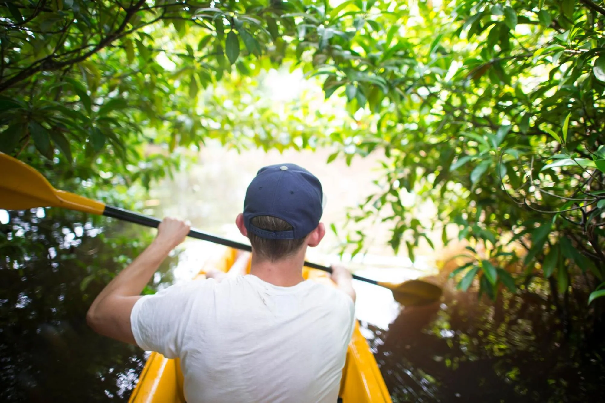 Canoeing in KAJU GREEN eco lodges