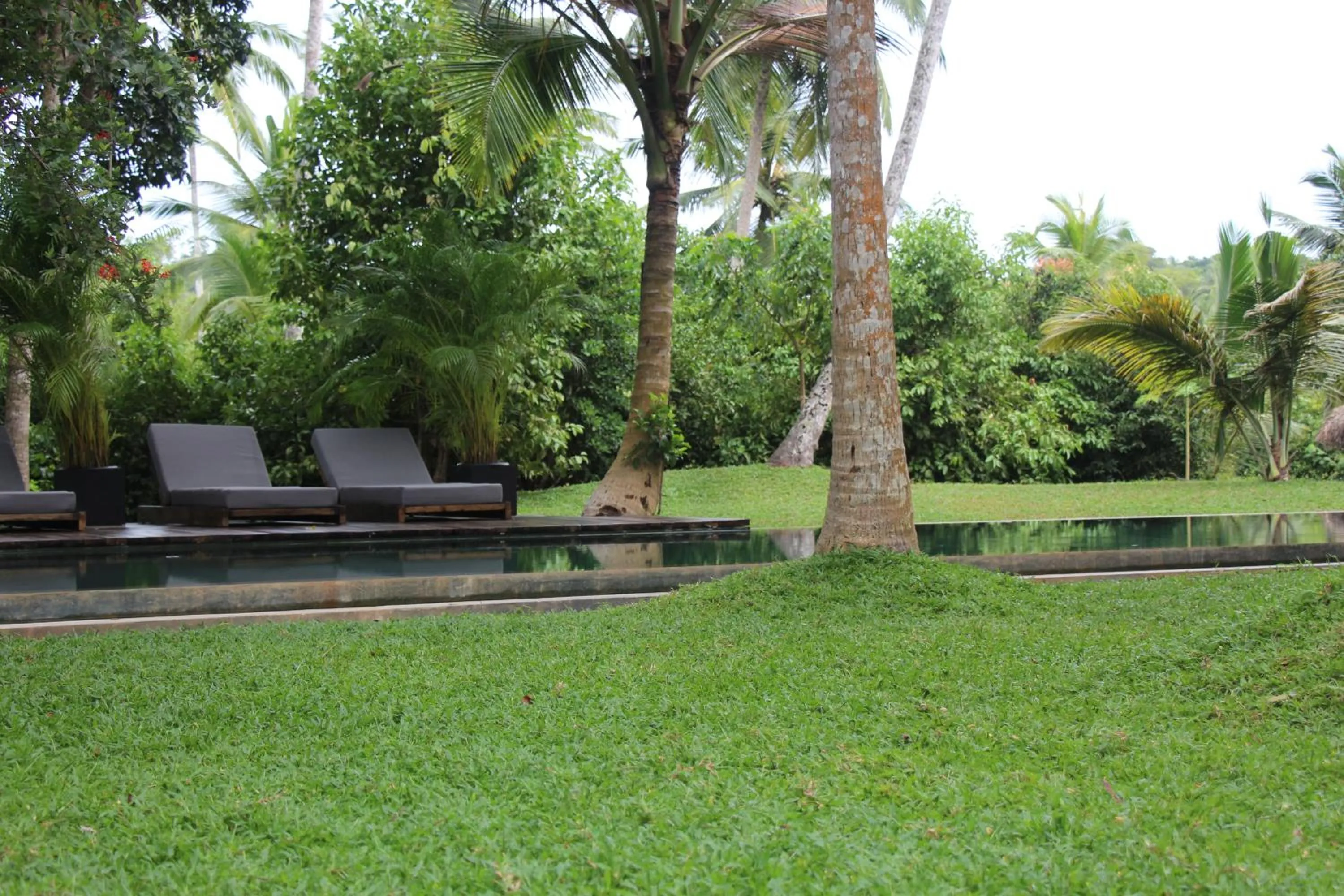 Swimming pool in KAJU GREEN eco lodges
