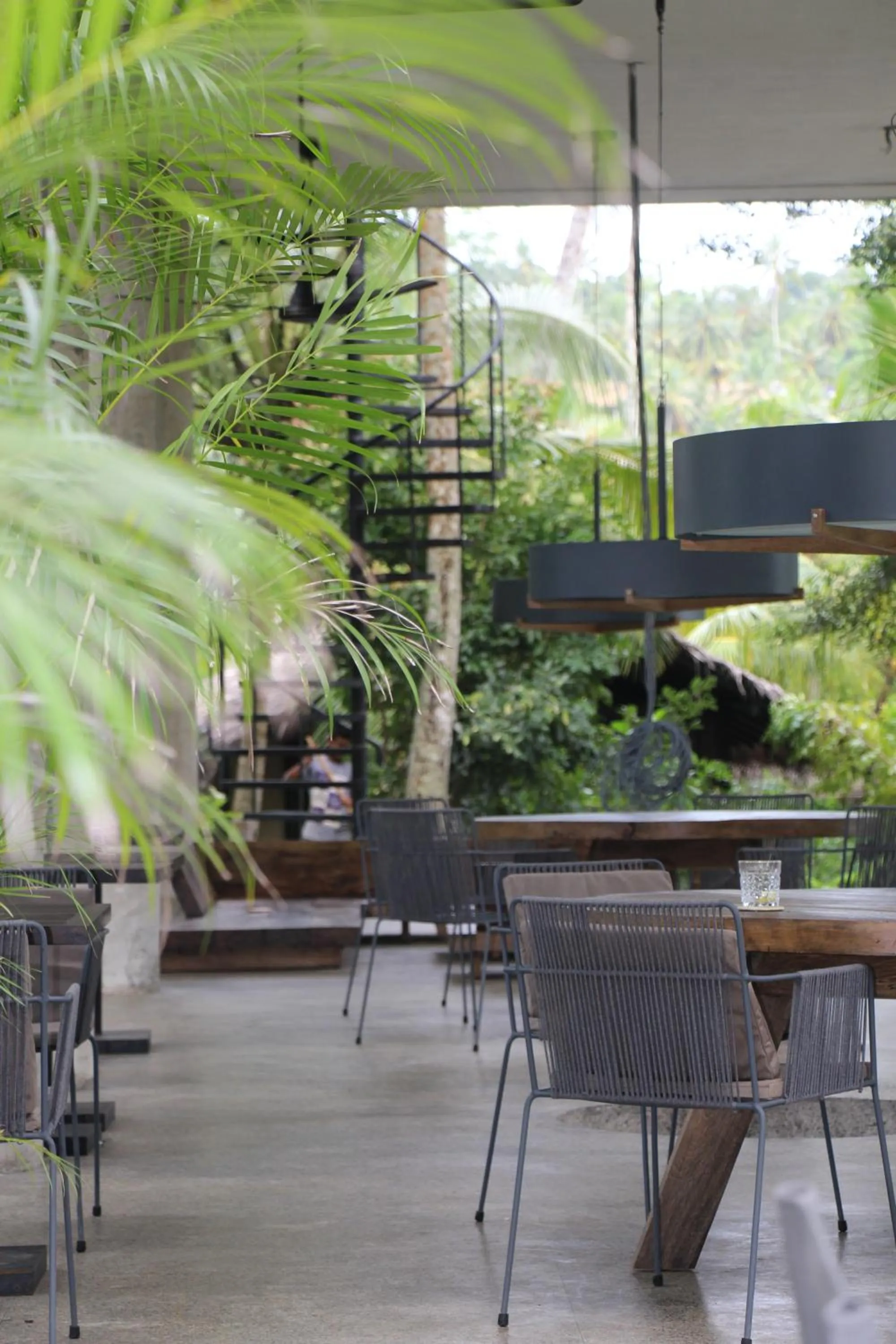 Restaurant/places to eat in KAJU GREEN eco lodges