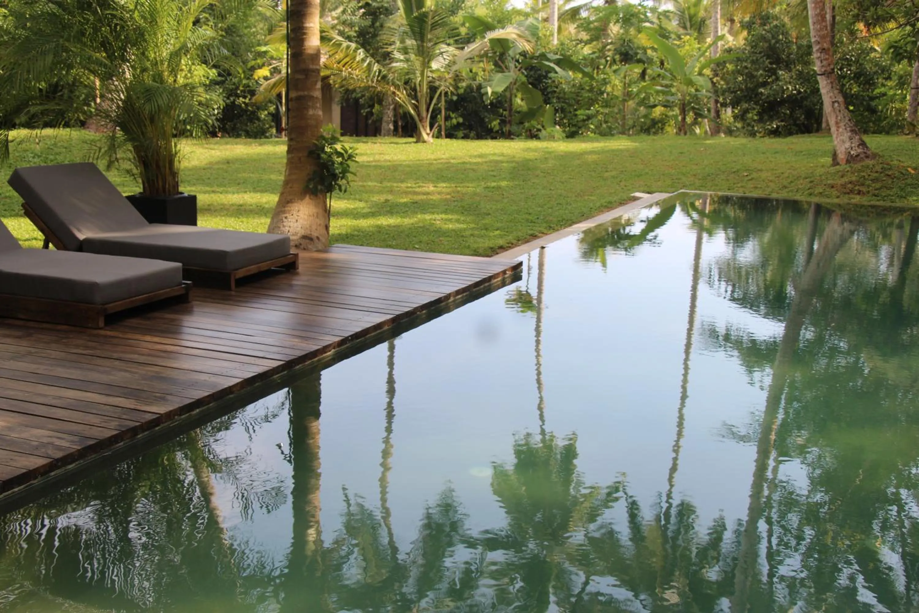 Swimming pool in KAJU GREEN eco lodges