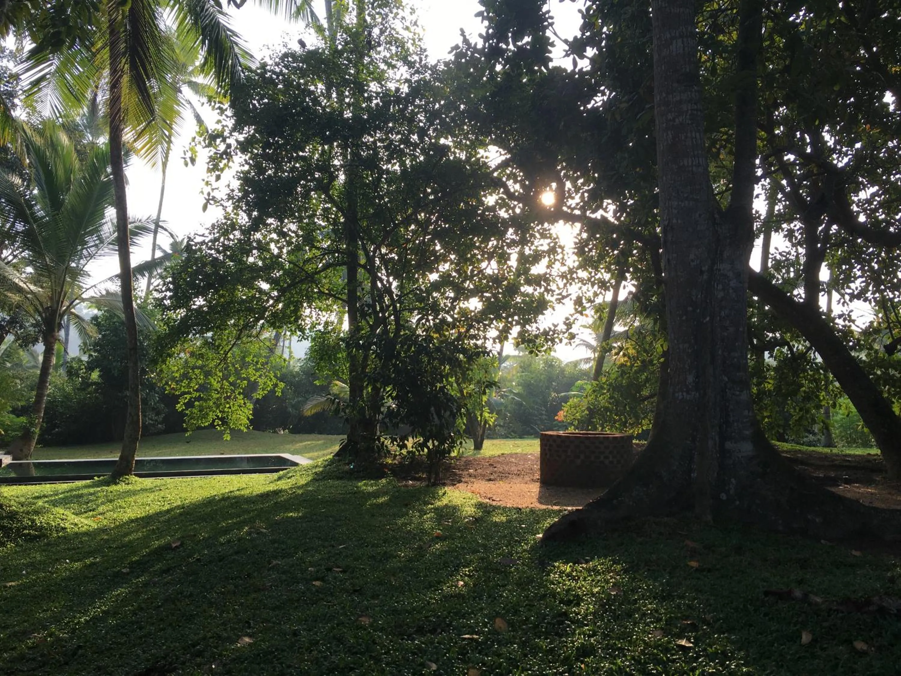 Garden in KAJU GREEN eco lodges