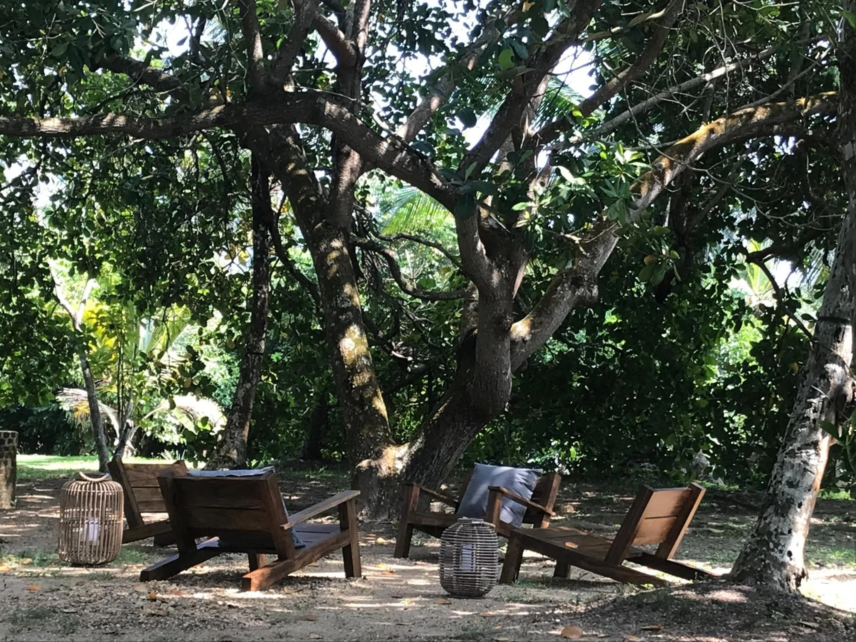 Garden in KAJU GREEN eco lodges