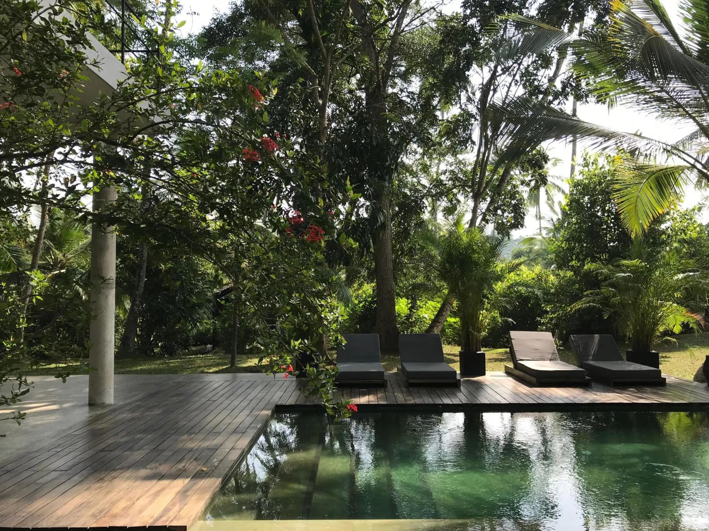 Swimming pool in KAJU GREEN eco lodges