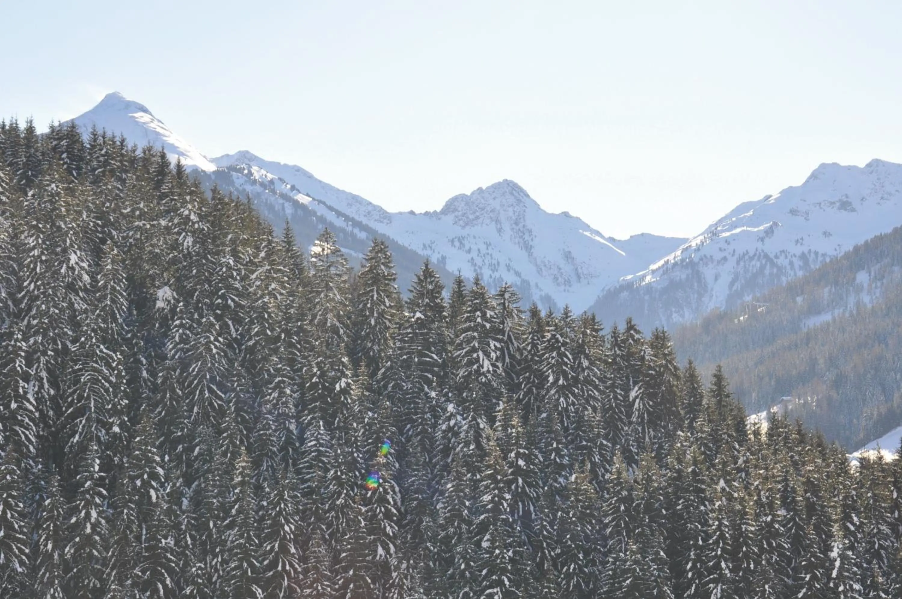 Area and facilities in Hotel Alphof Alpbach