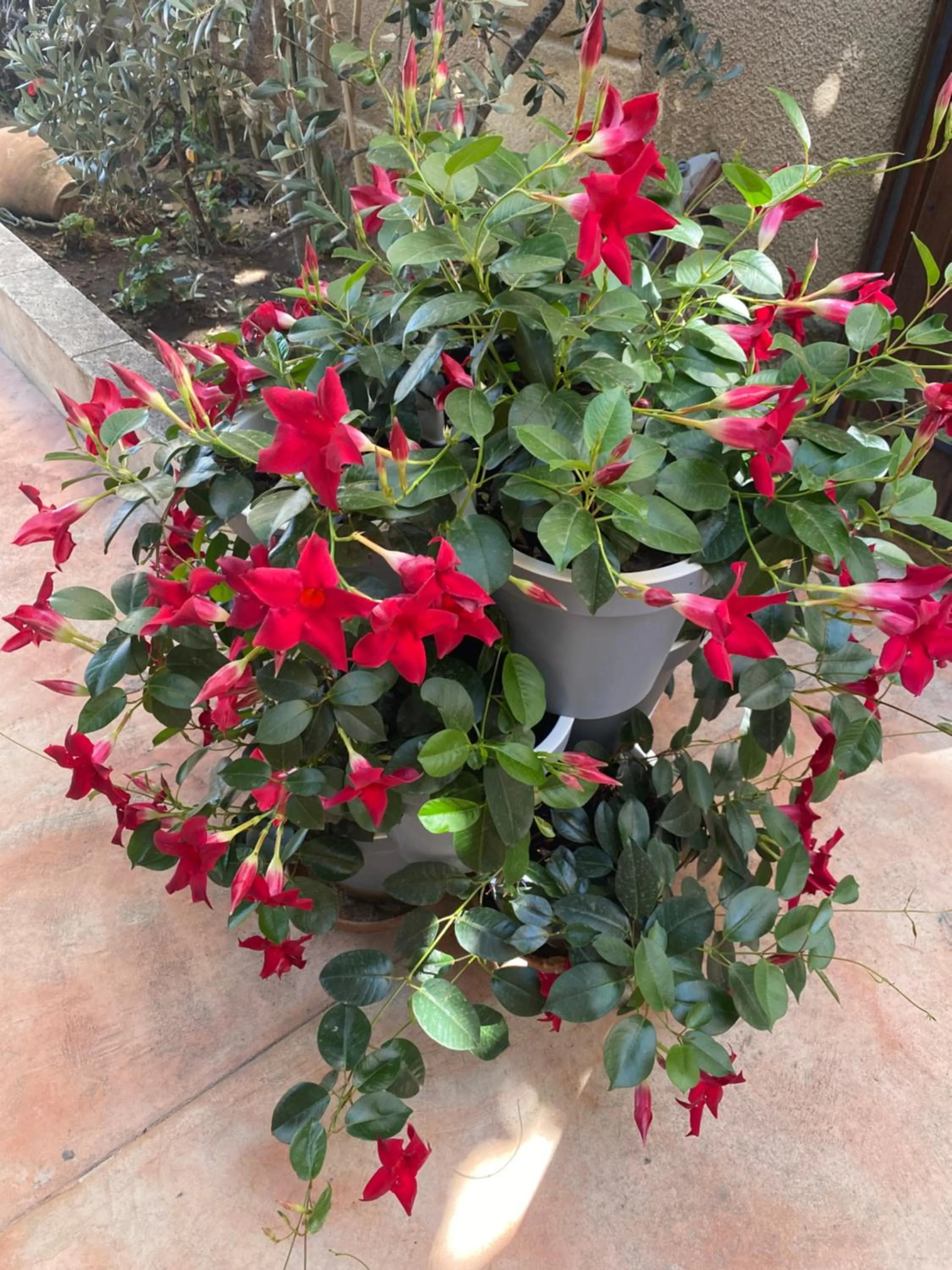 Property building in L'atelier B&B