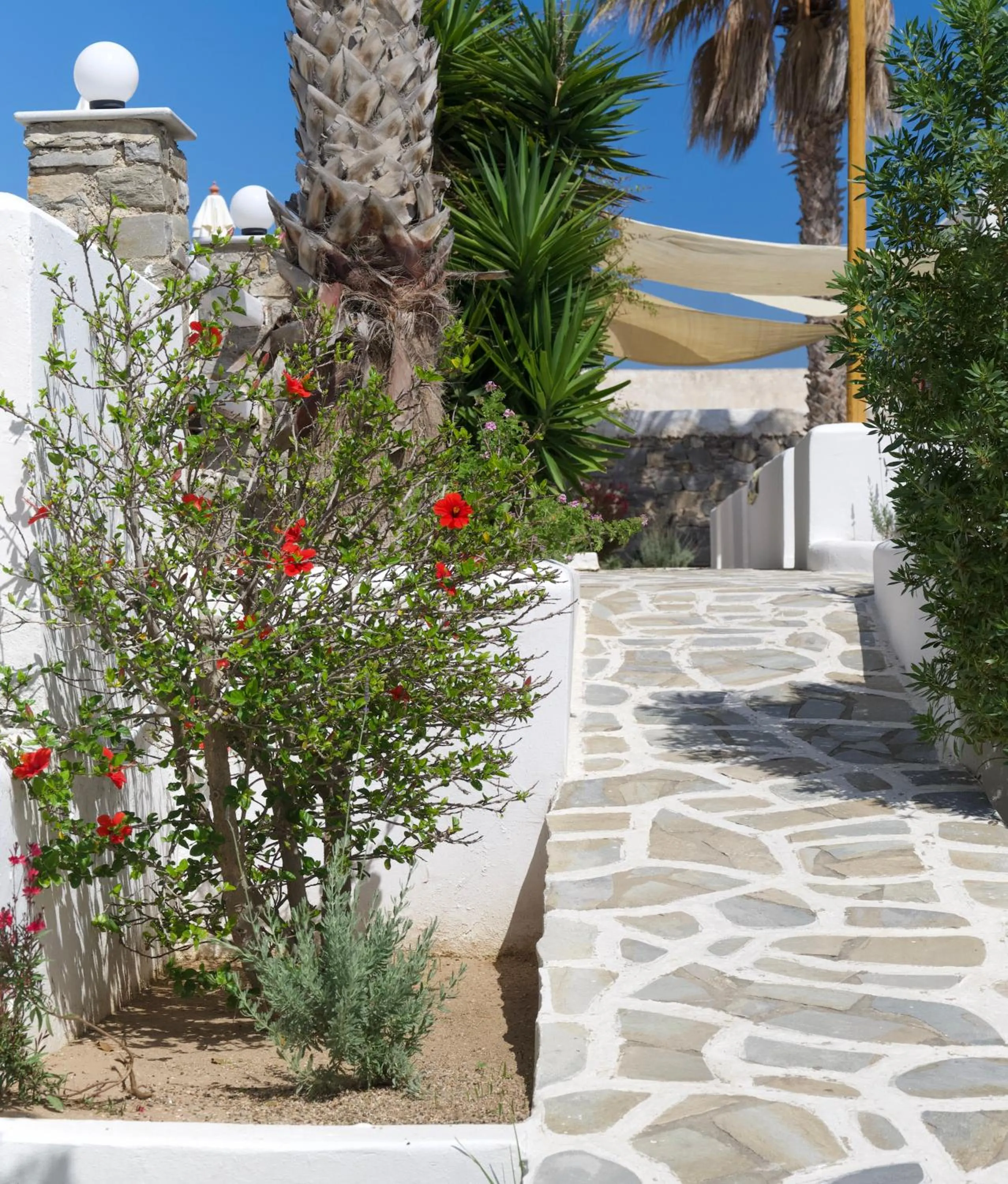 Garden in Summer Shades Hotel - ex Arkoulis