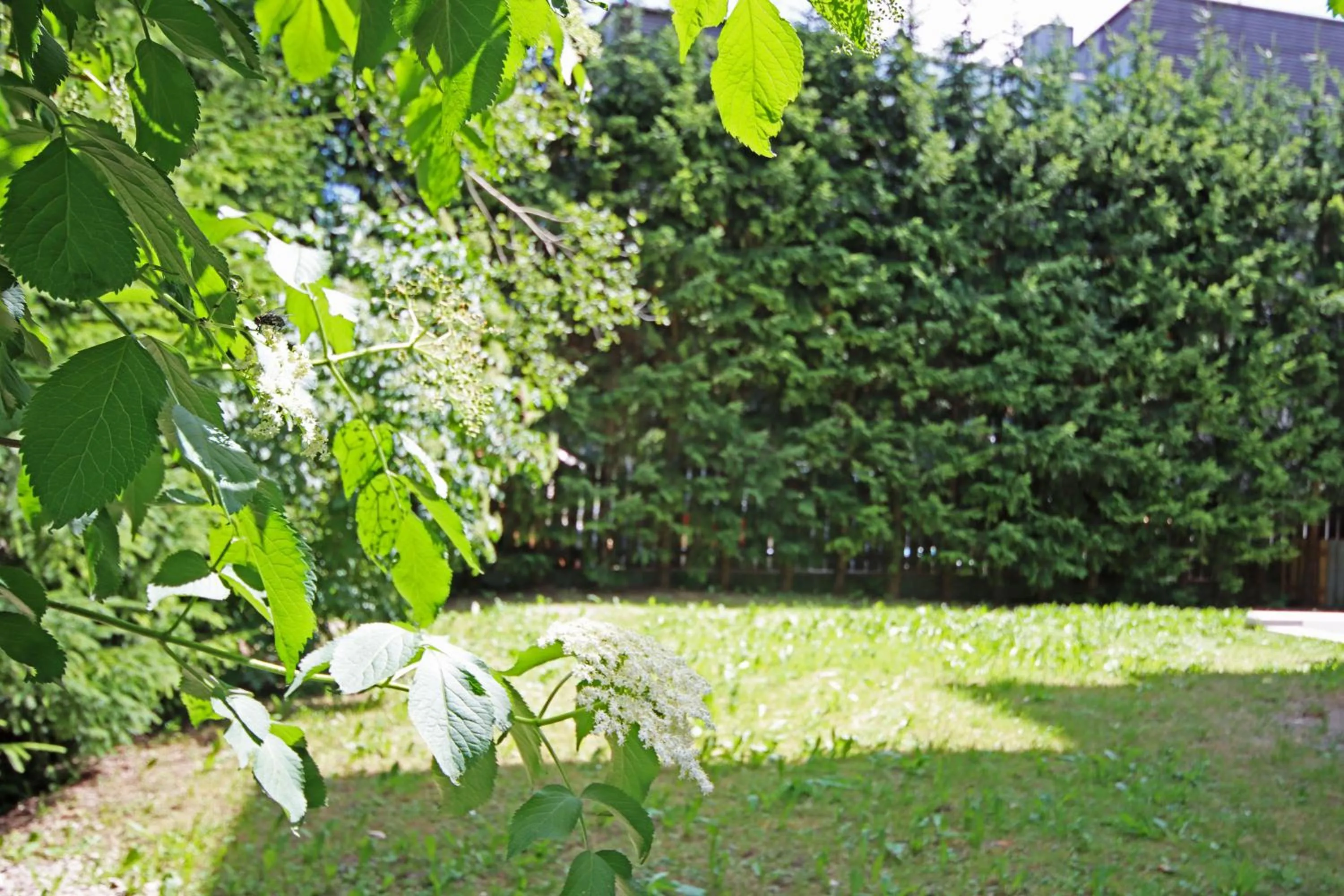 Garden in Aurturist S Candido Roulette