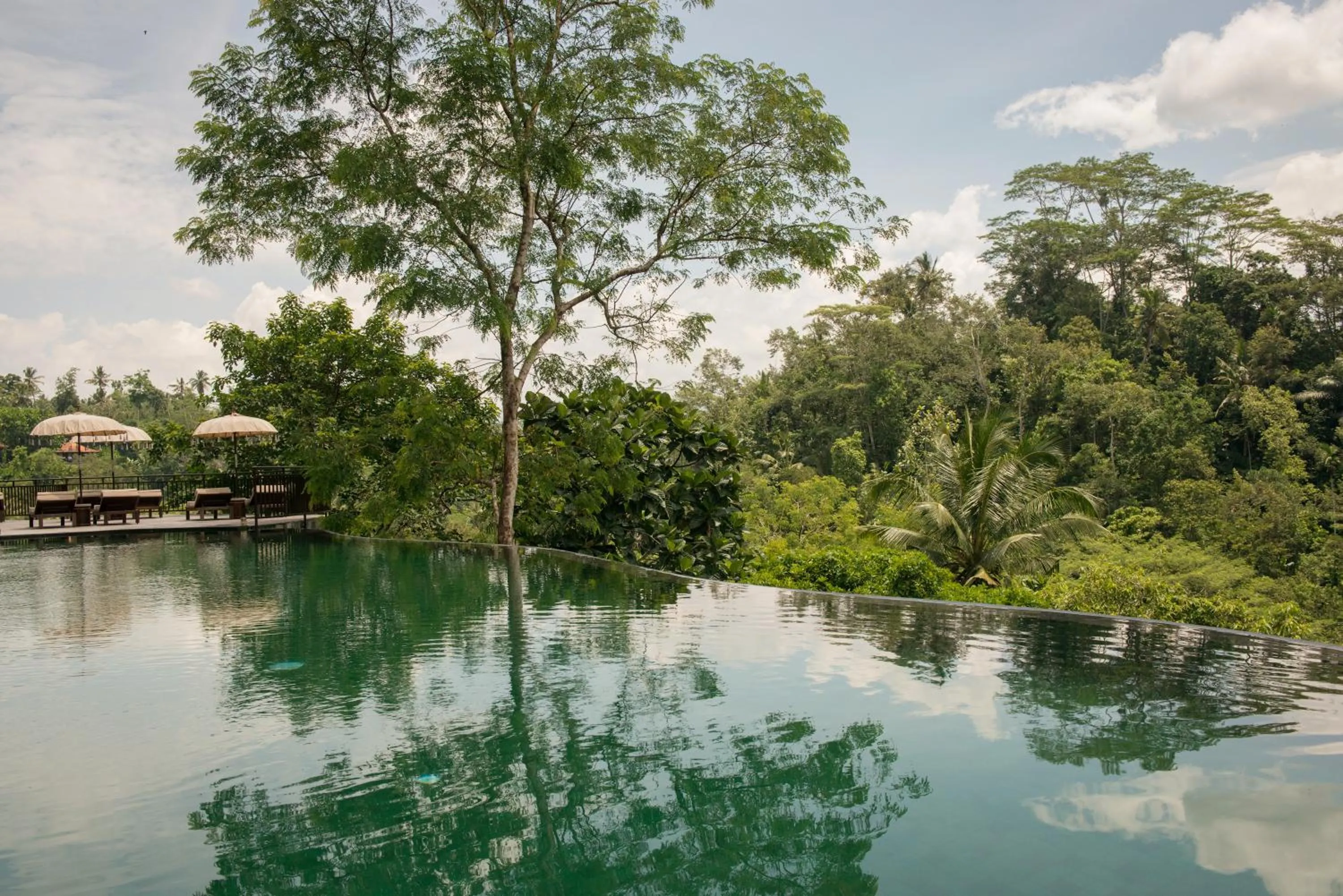Pool view in Komaneka at Tanggayuda Ubud