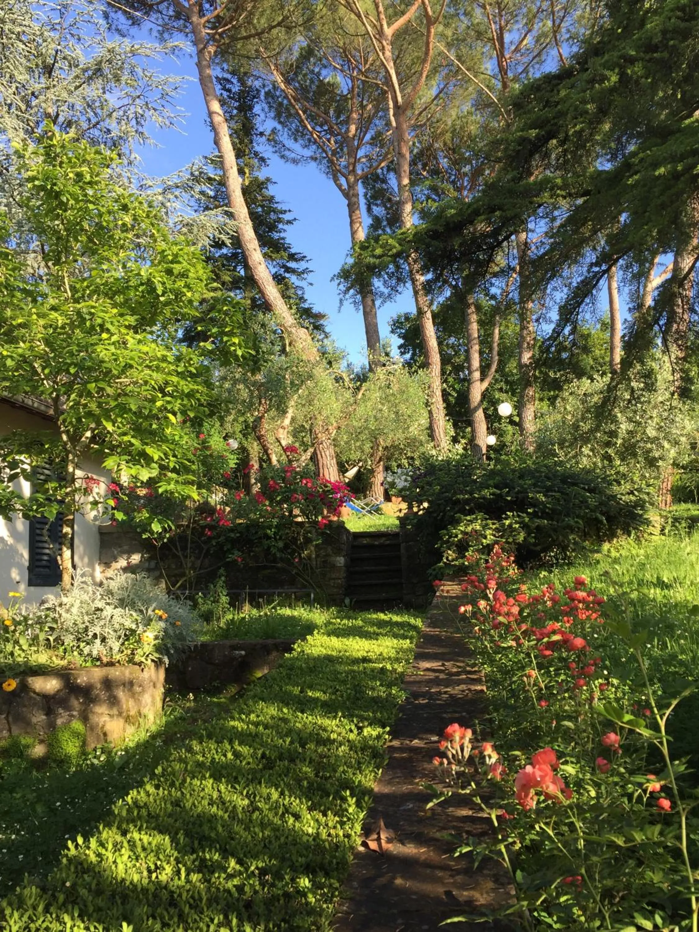 Garden in Fiorenza B&B