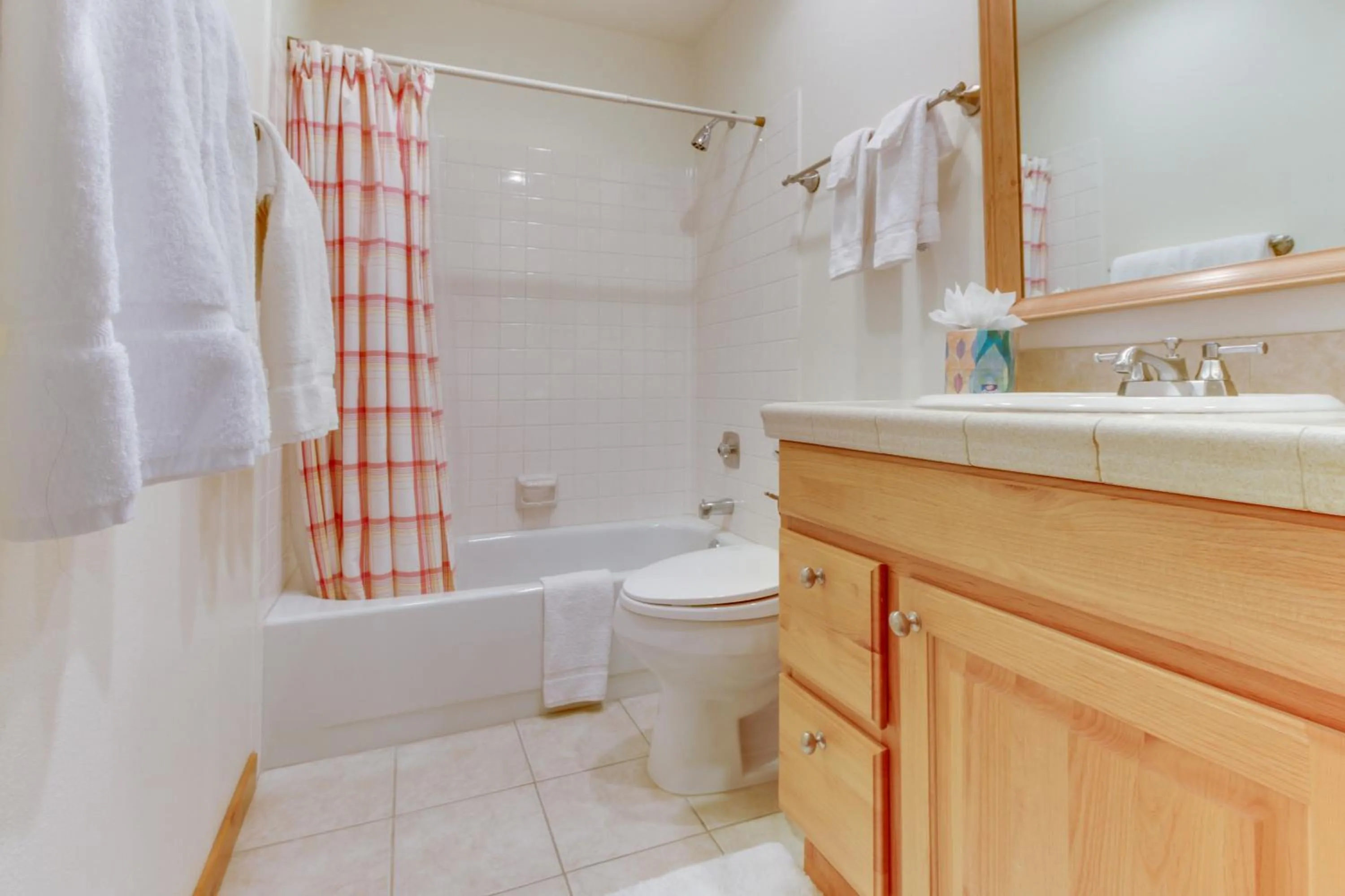 Bluff Mountain Charmer