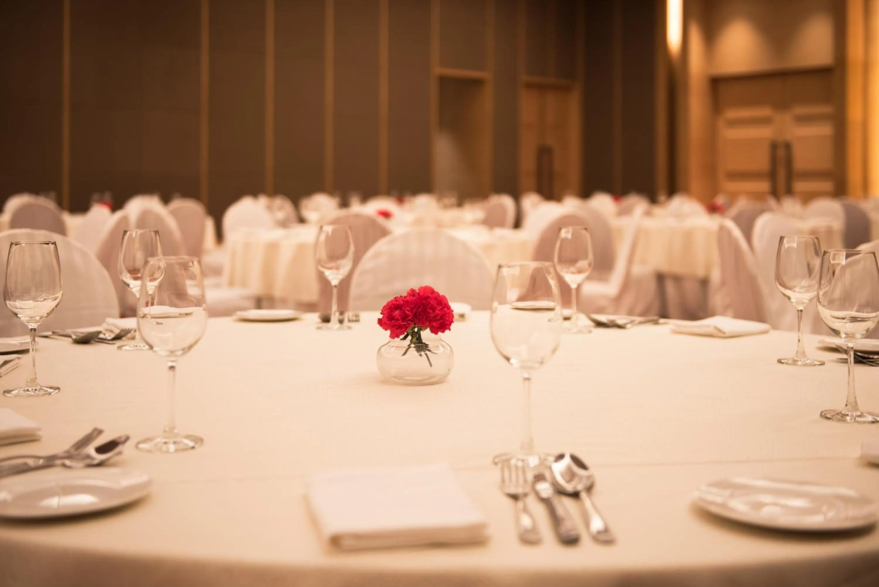 Area and facilities in Hyatt Regency Lucknow Gomti Nagar