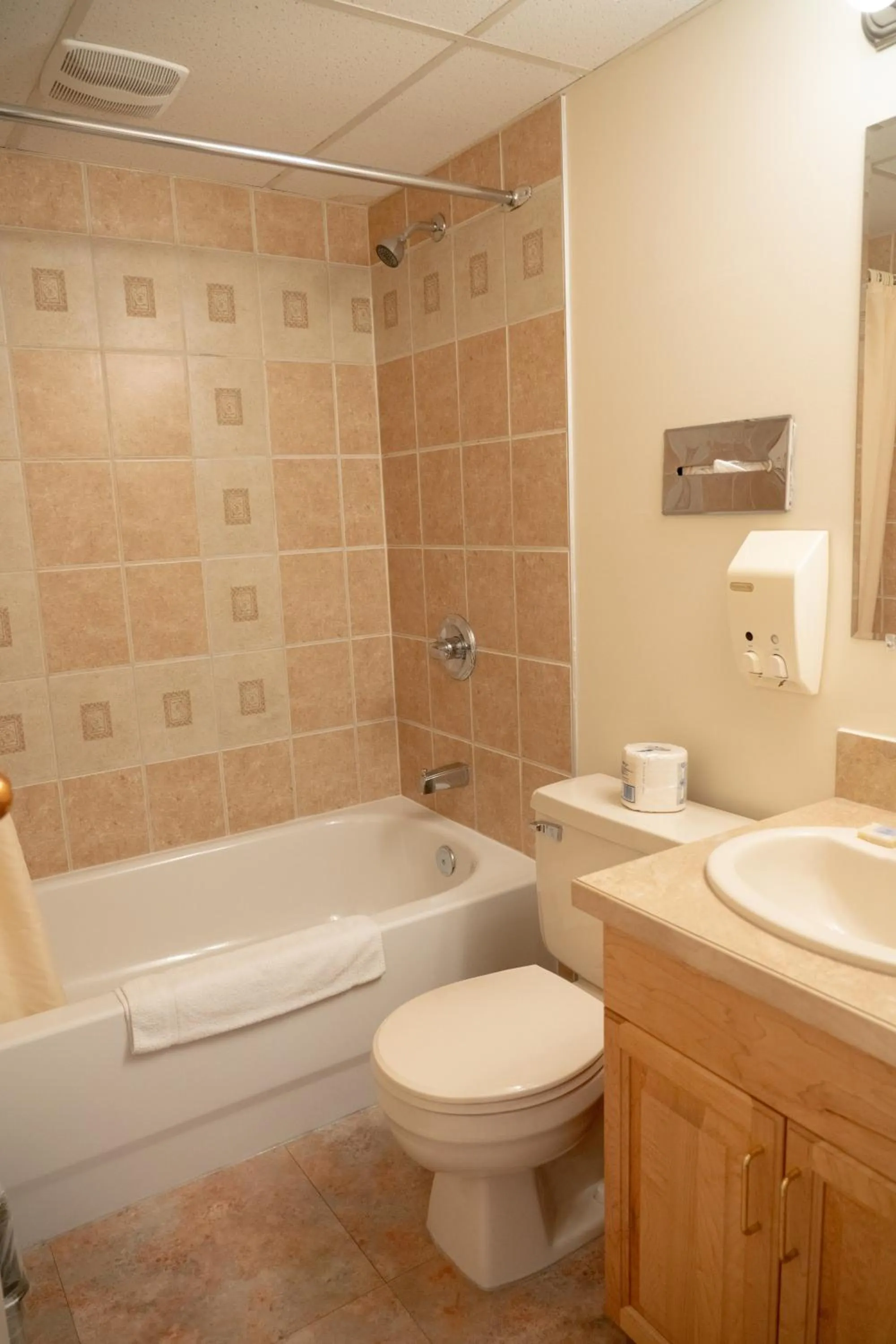 Bathroom in Rocky Mountain Ski Lodge