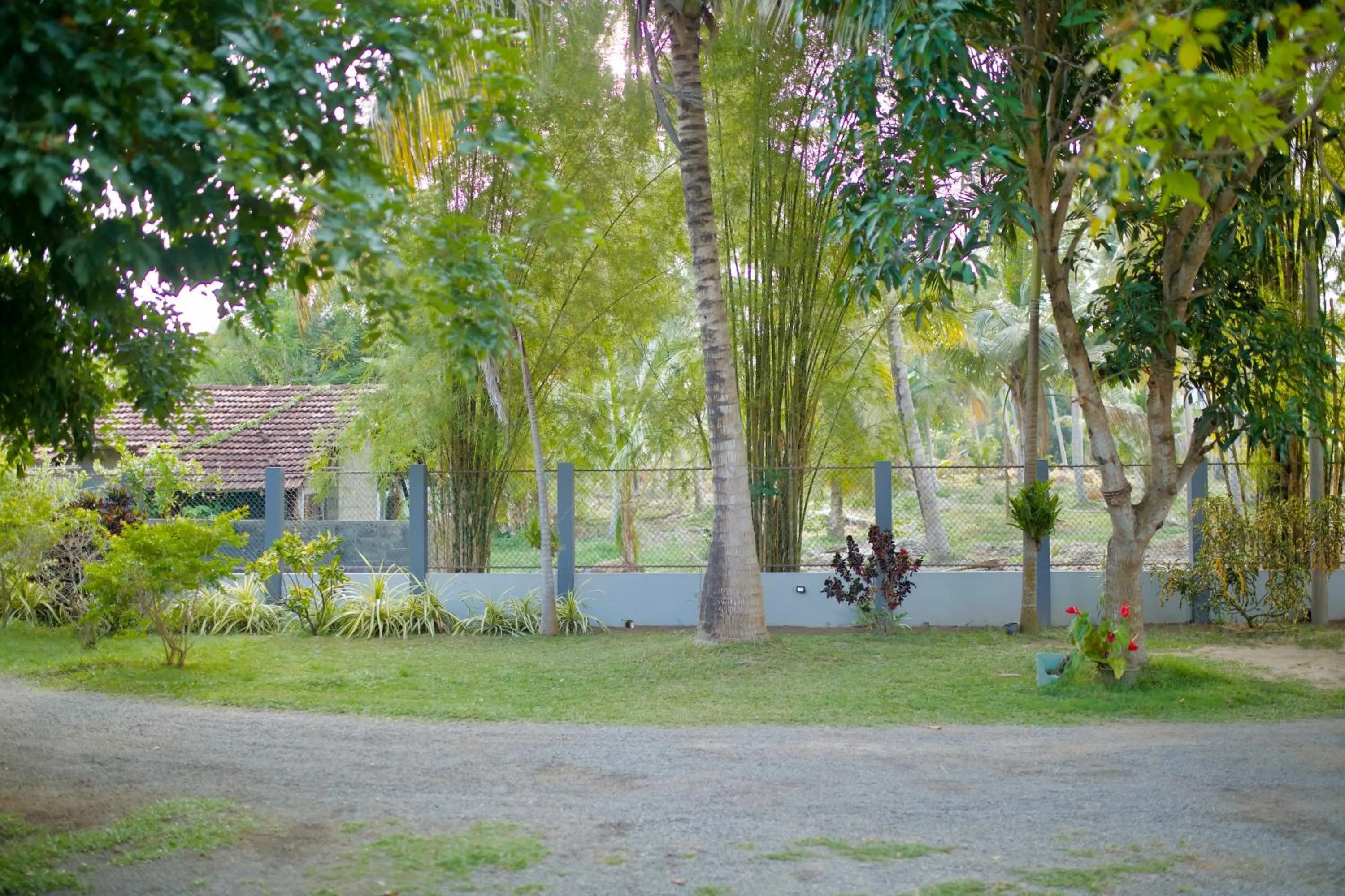 Garden view in Sevenday Hotel