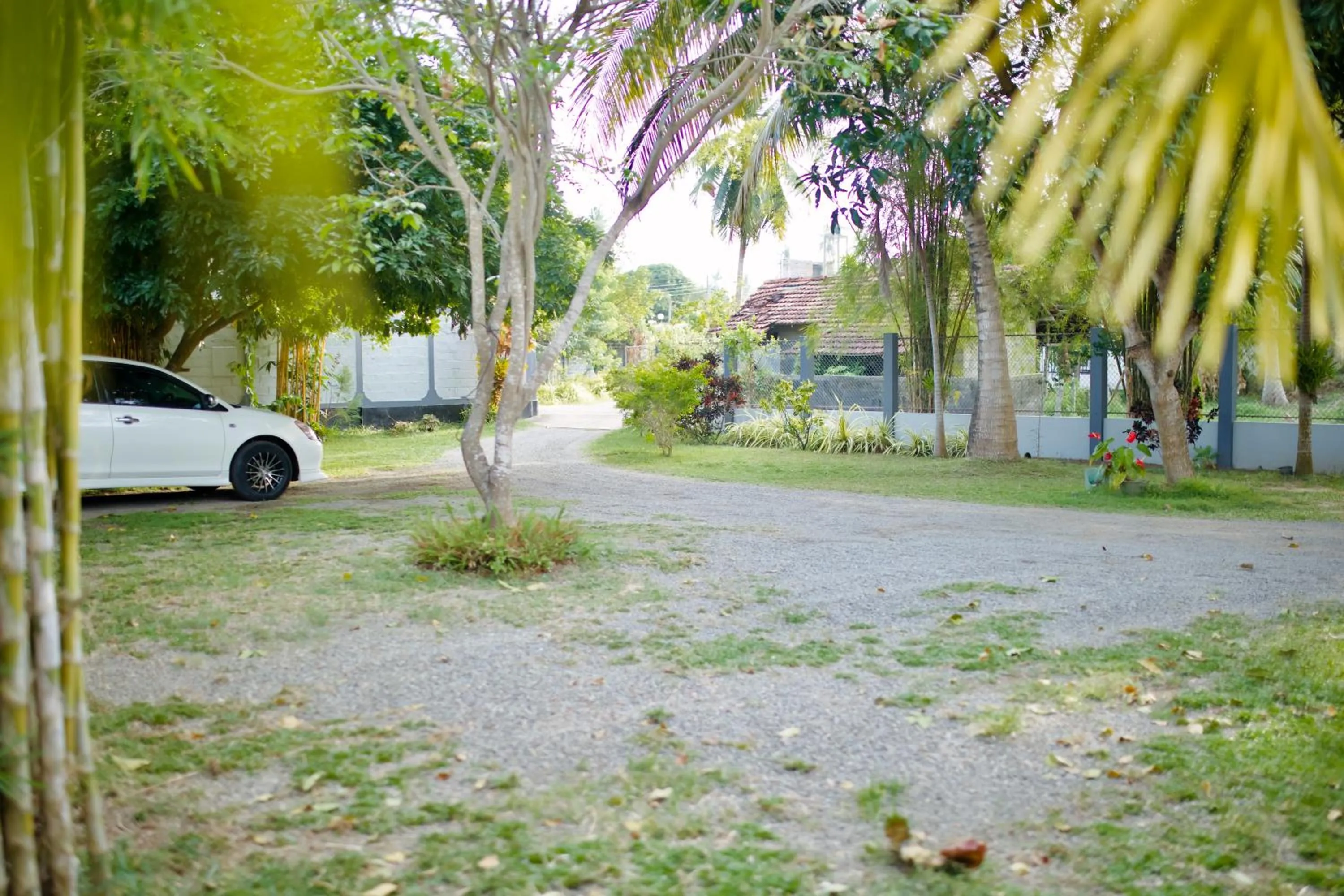 Garden in Sevenday Hotel