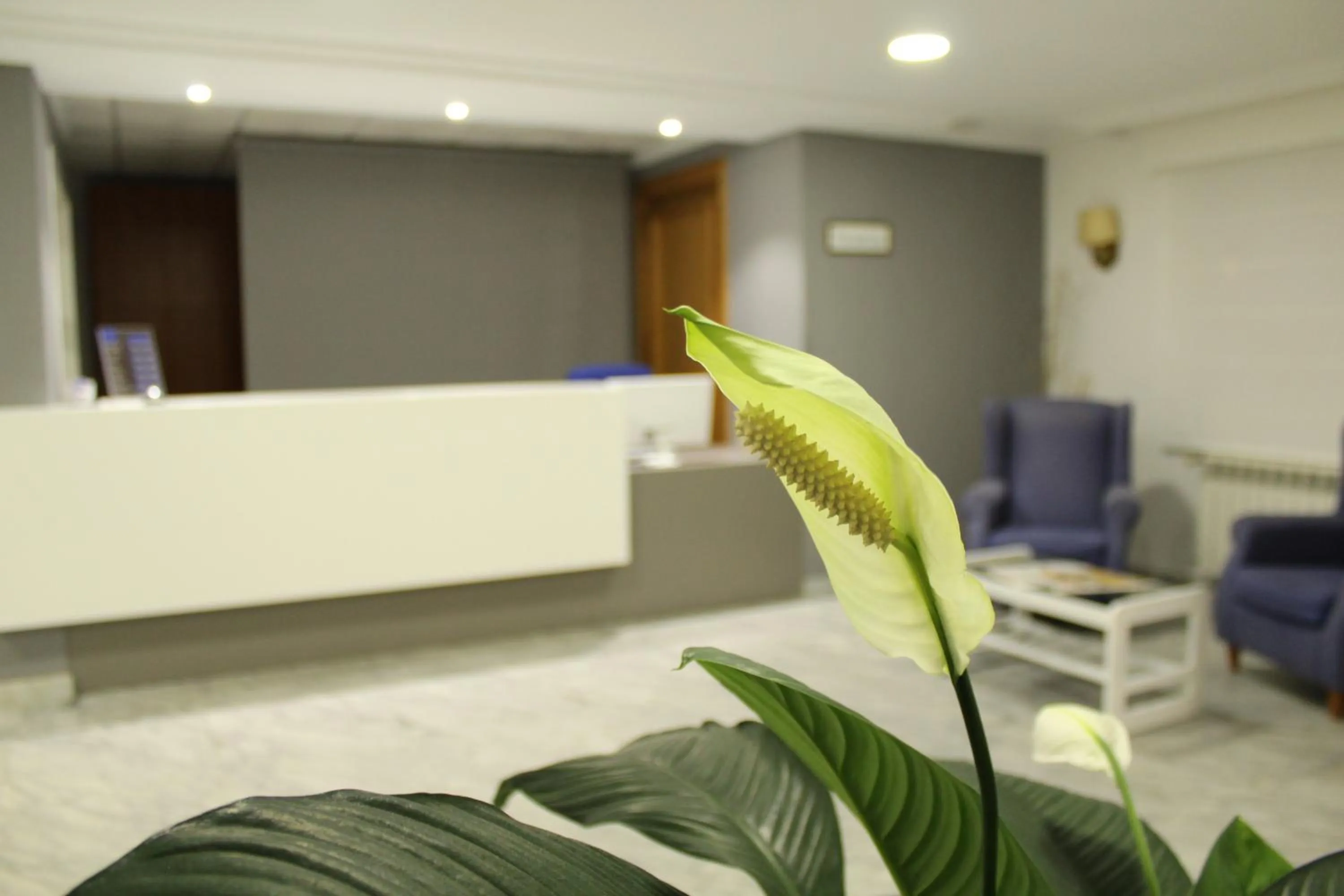 Lobby or reception in Hotel Mar Azul