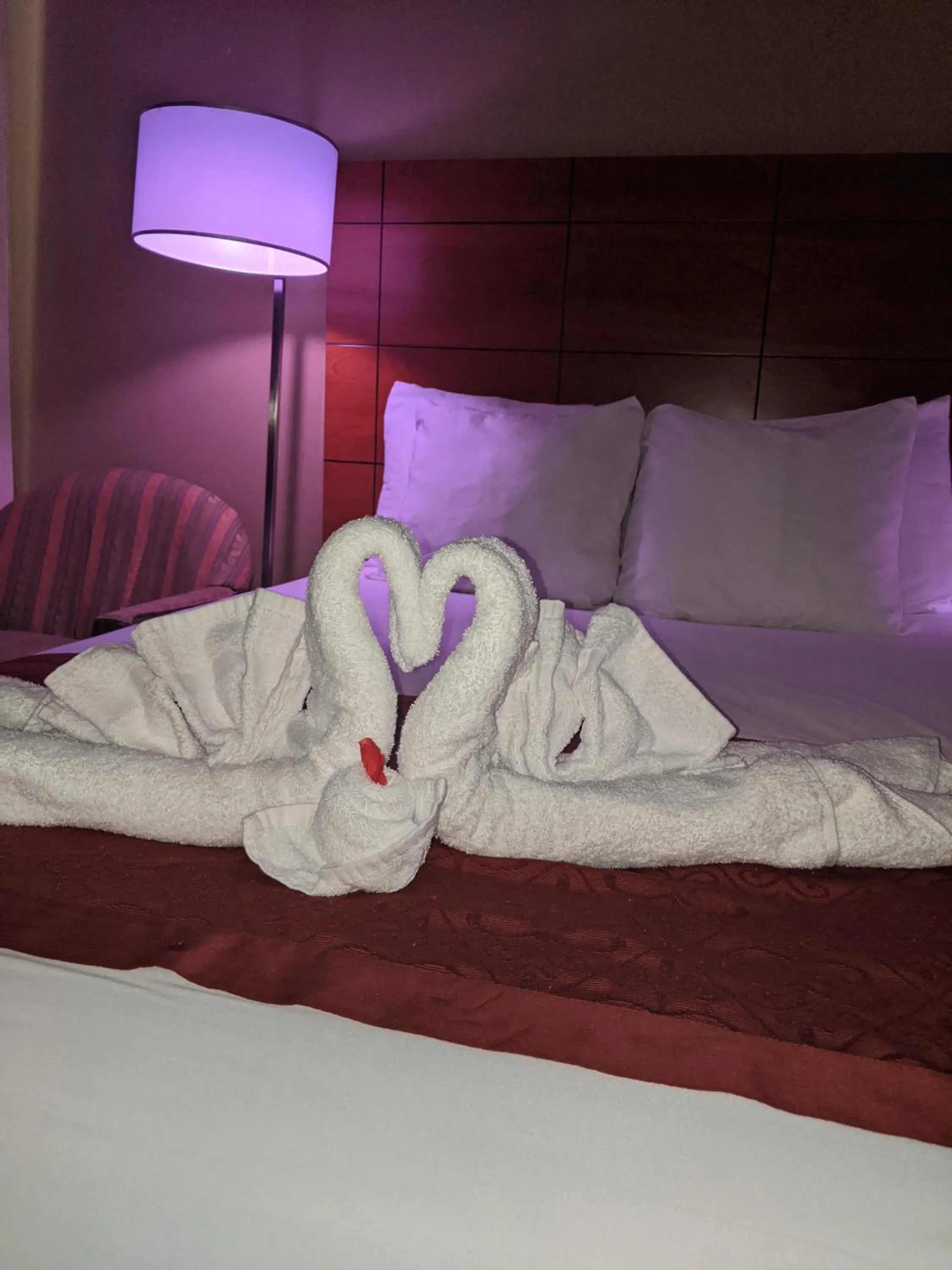 Bed in Jets Motor Inn