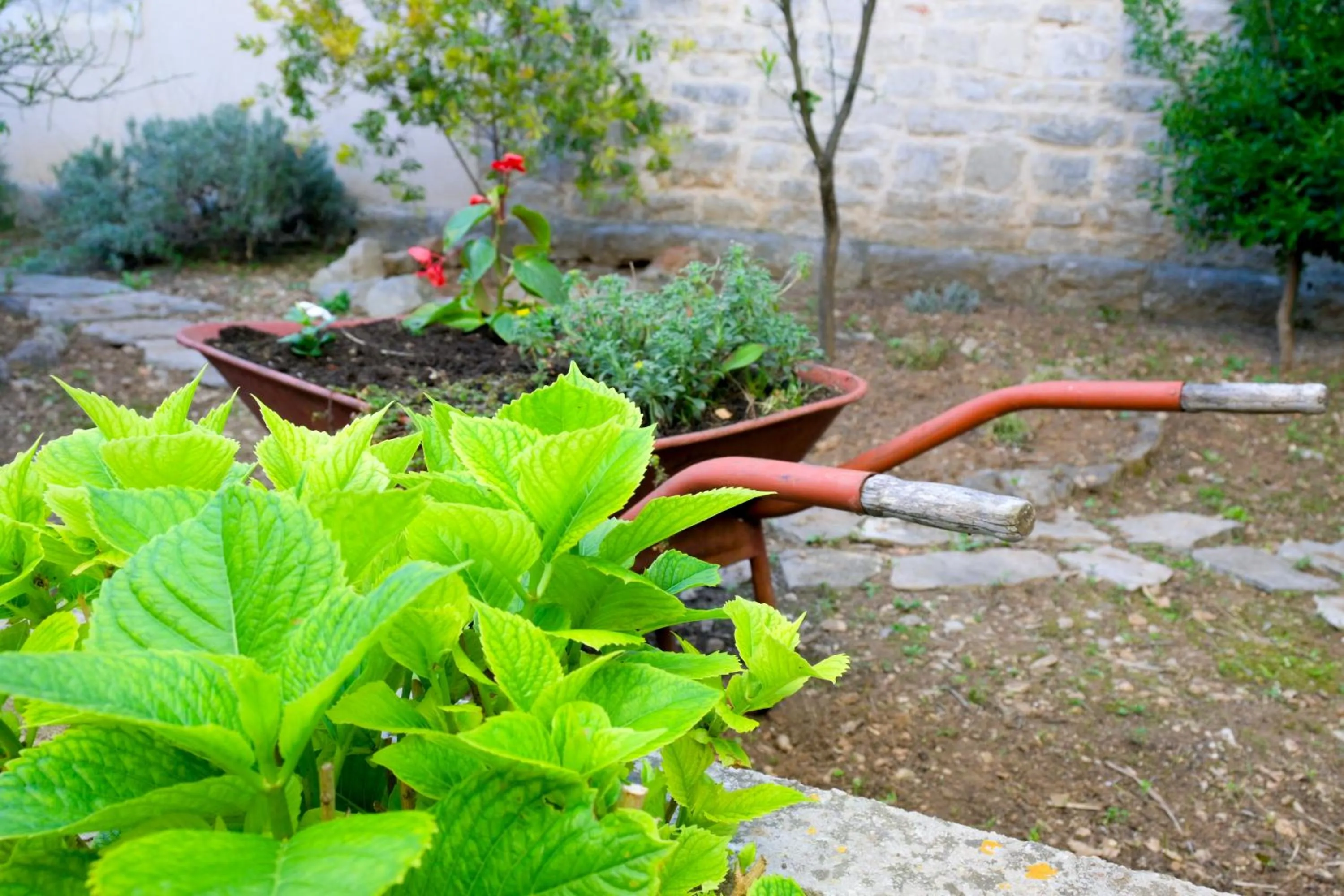 Garden in B&B Aurora