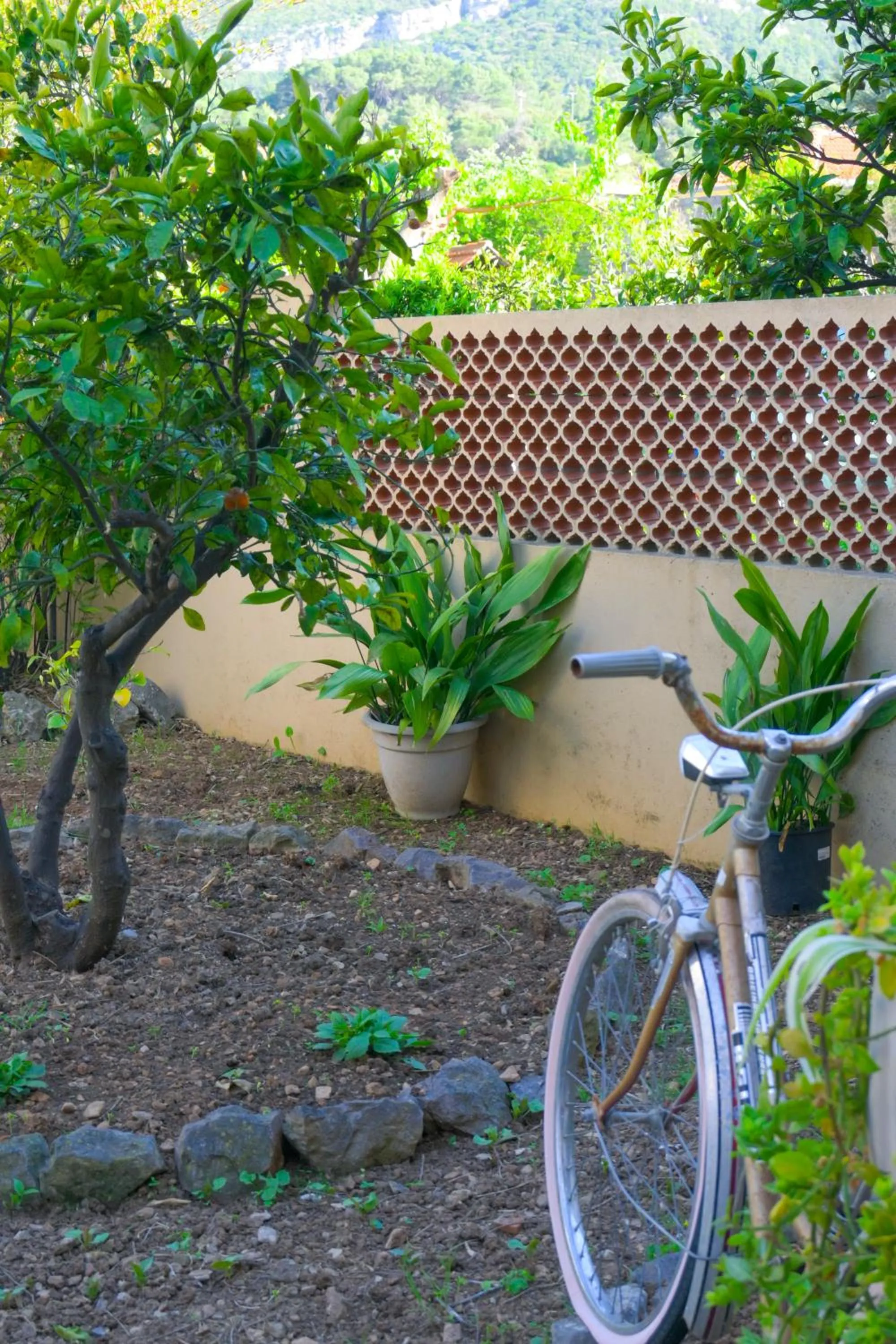 Garden in B&B Aurora