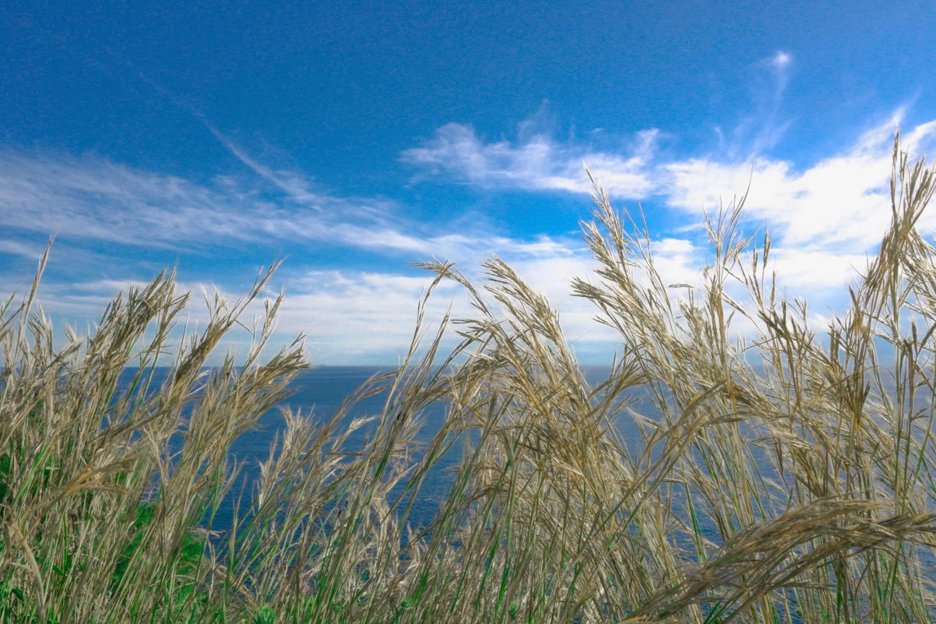 Spring in B&B Aurora