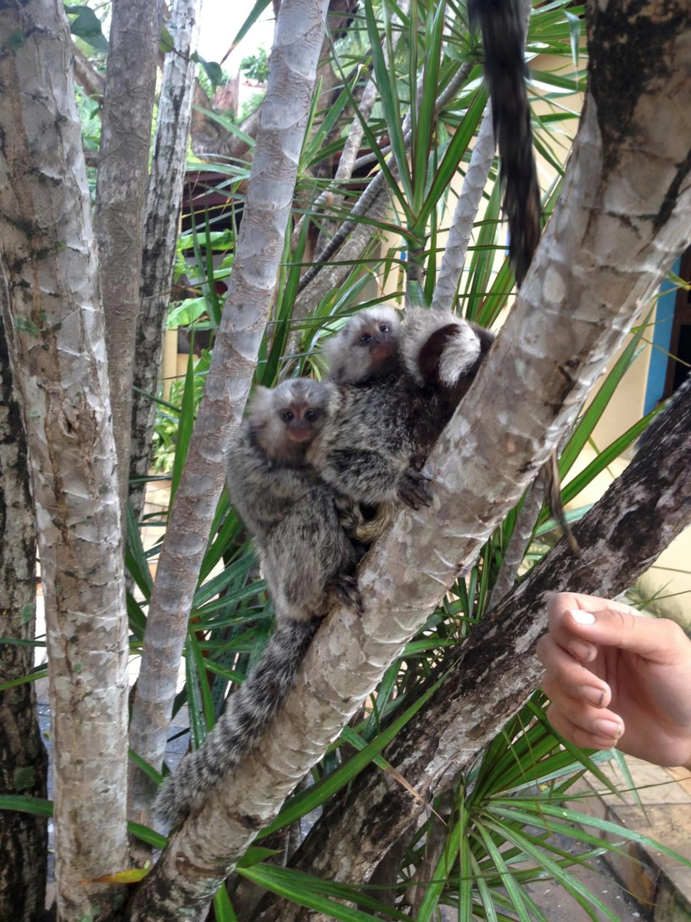 Other in Pousada Barbara