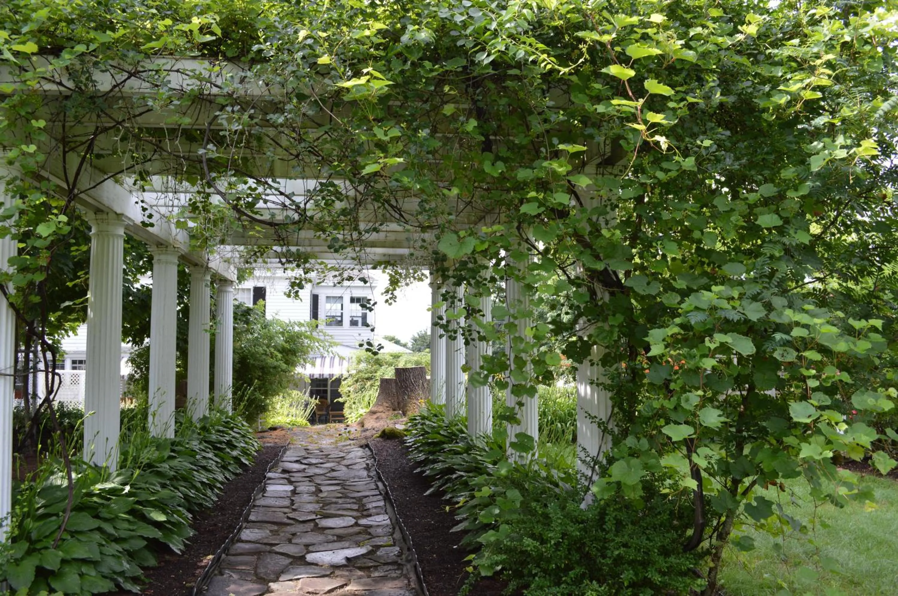 Day in The Brewster Inn