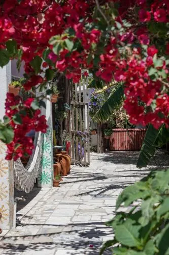 Natural Mystic Hostel