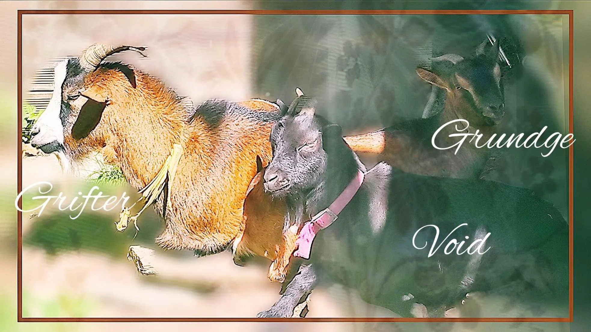 Animals in Skymist Maison d'hôtes