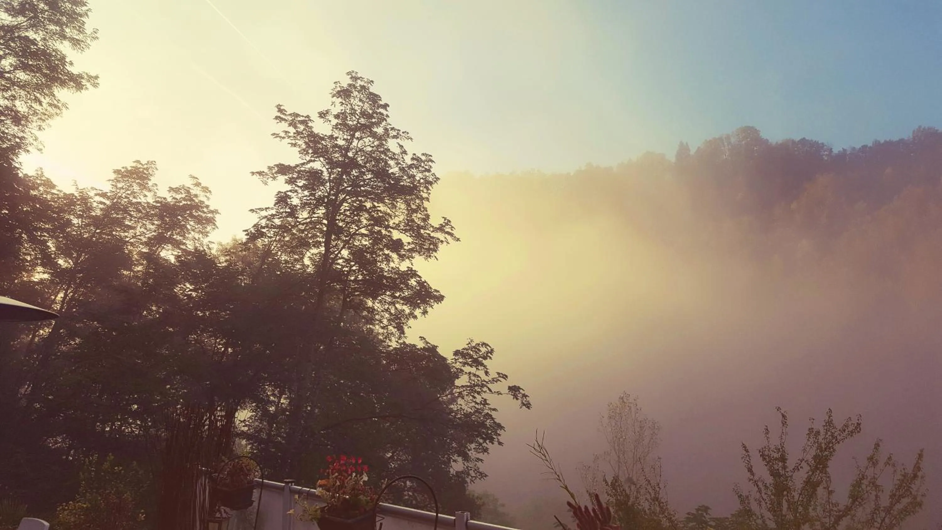 Autumn in Skymist Maison d'hôtes