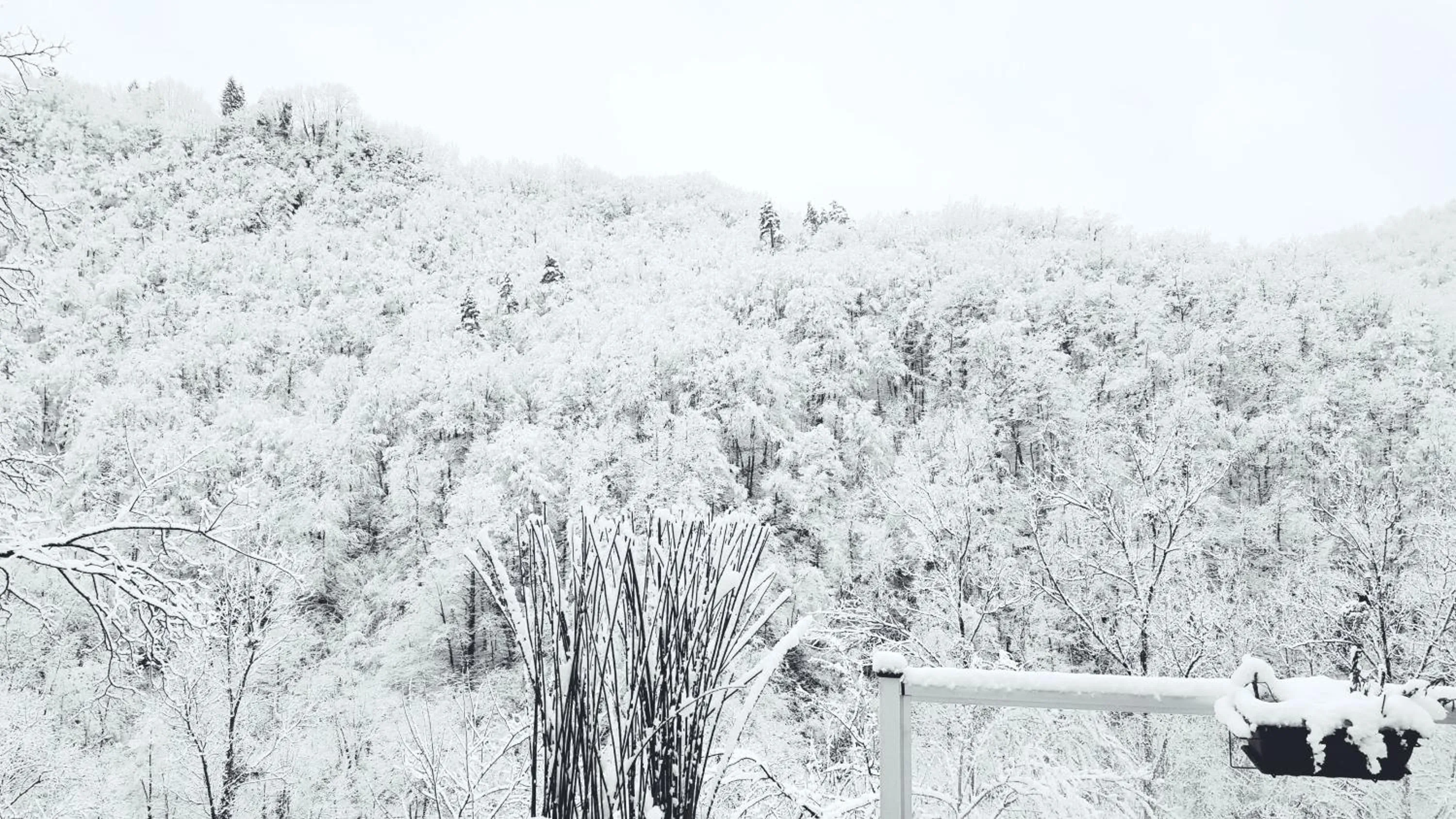 Winter in Skymist Maison d'hôtes