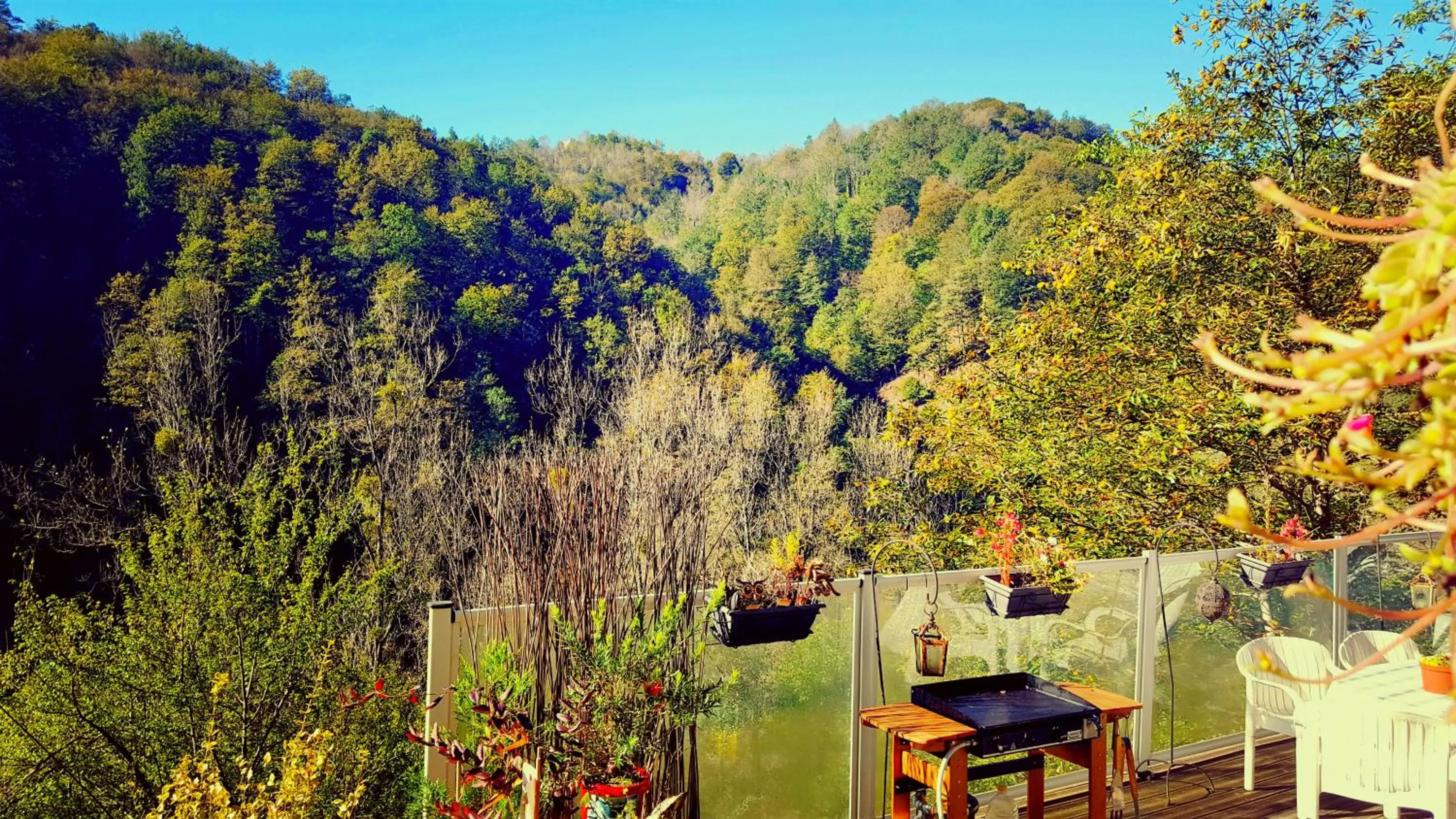 BBQ facilities in Skymist Maison d'hôtes