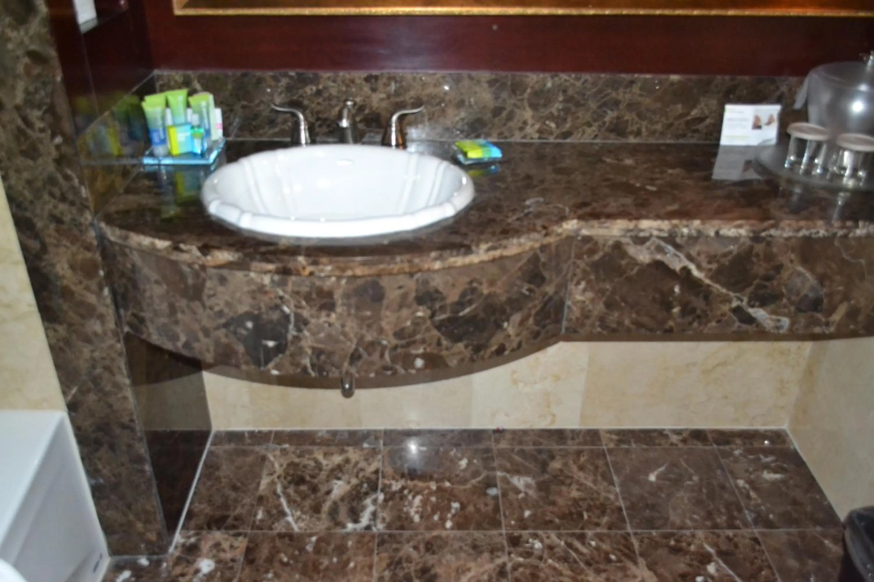 Bathroom in Radisson Hotel Toronto Airport West