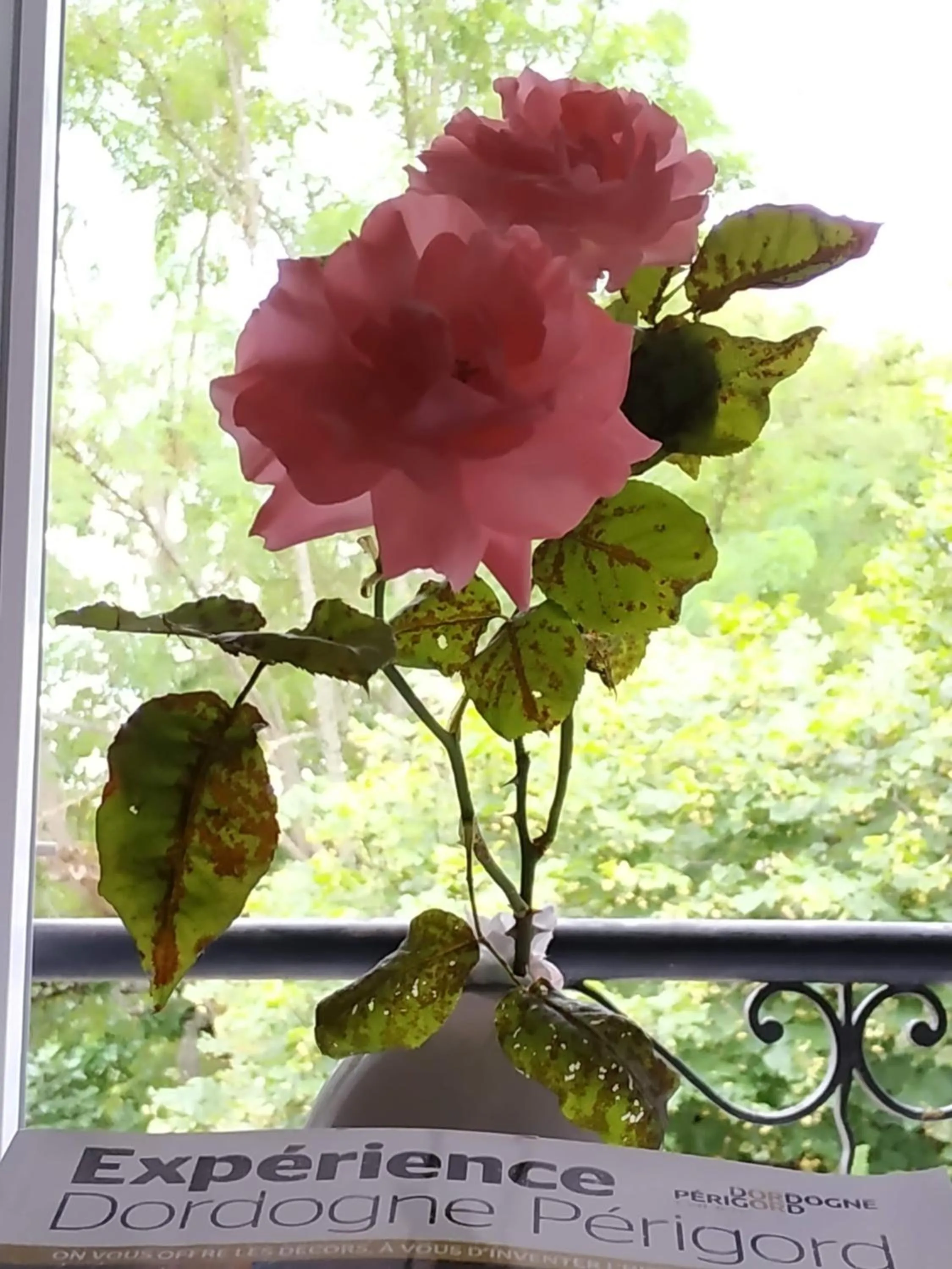 Garden view in Chambre Romantique