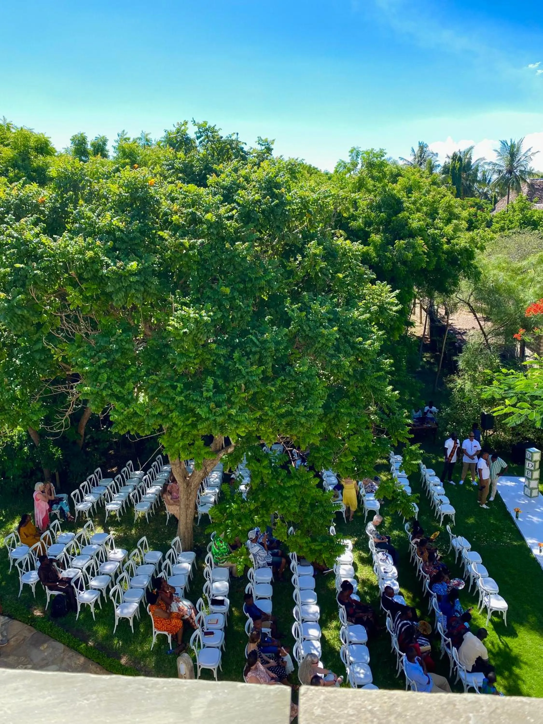 Natural landscape in Villa Mandhari - Diani Beach