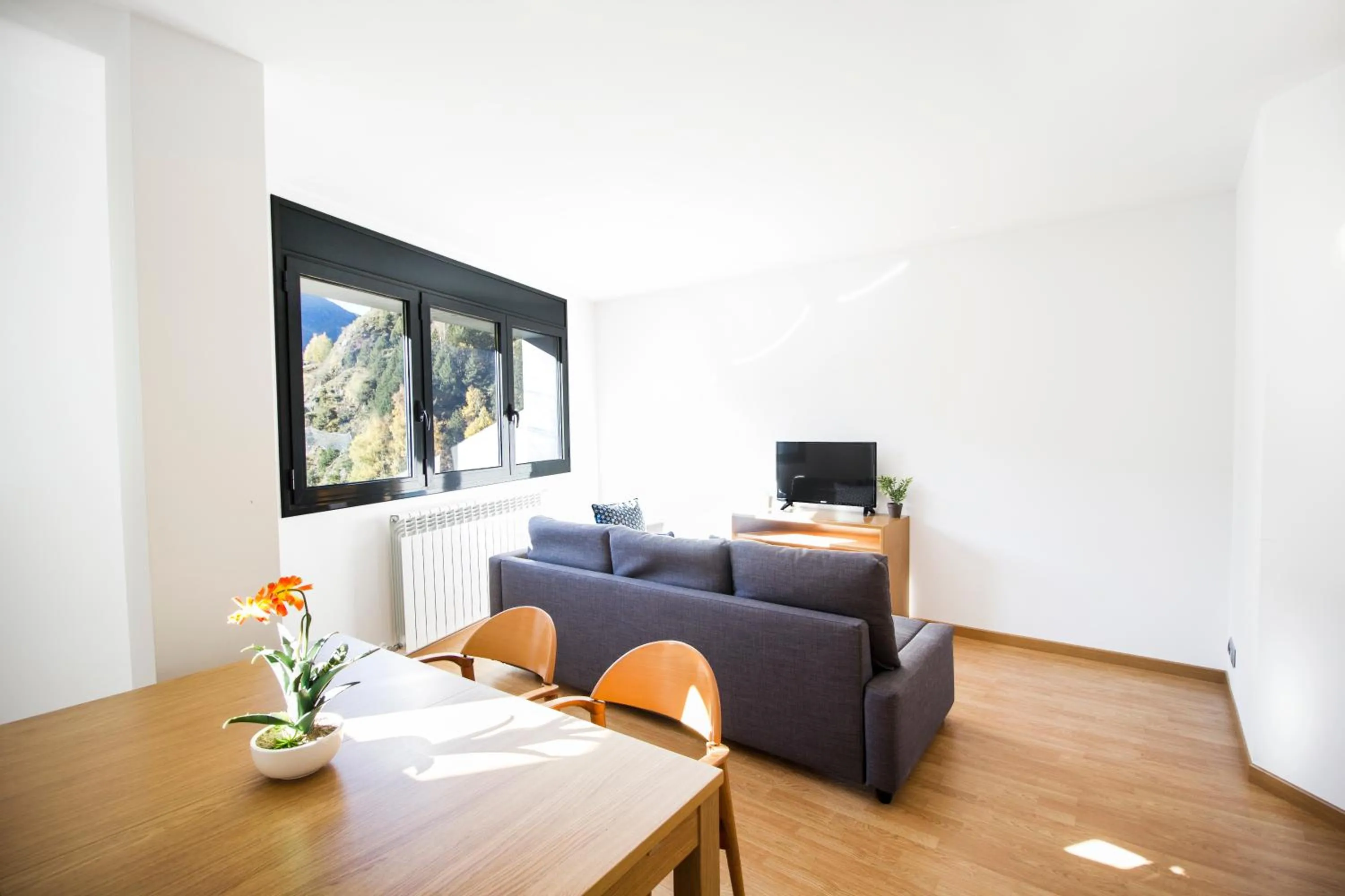 Living room in Font del Ferro Apartments