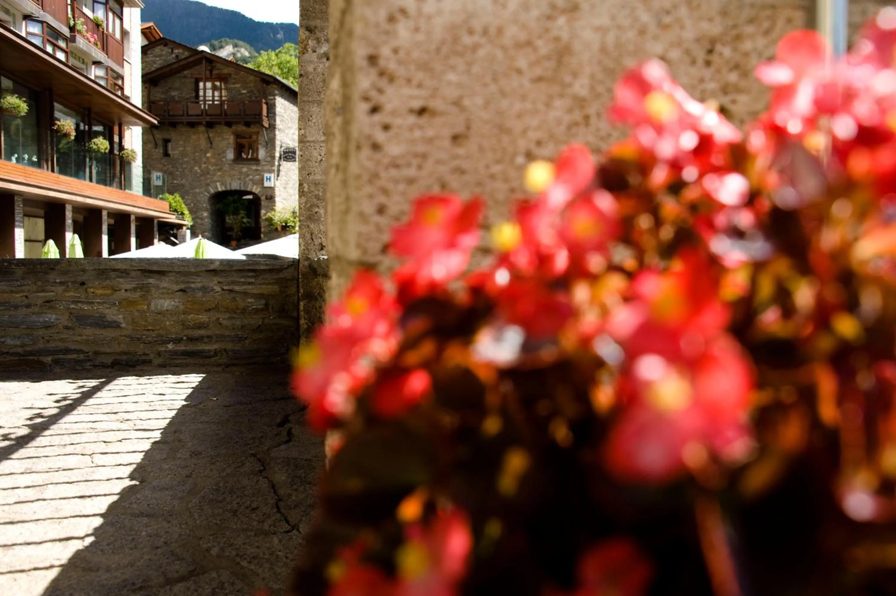 Area and facilities in Hotel Santa Bàrbara De La Vall D'ordino