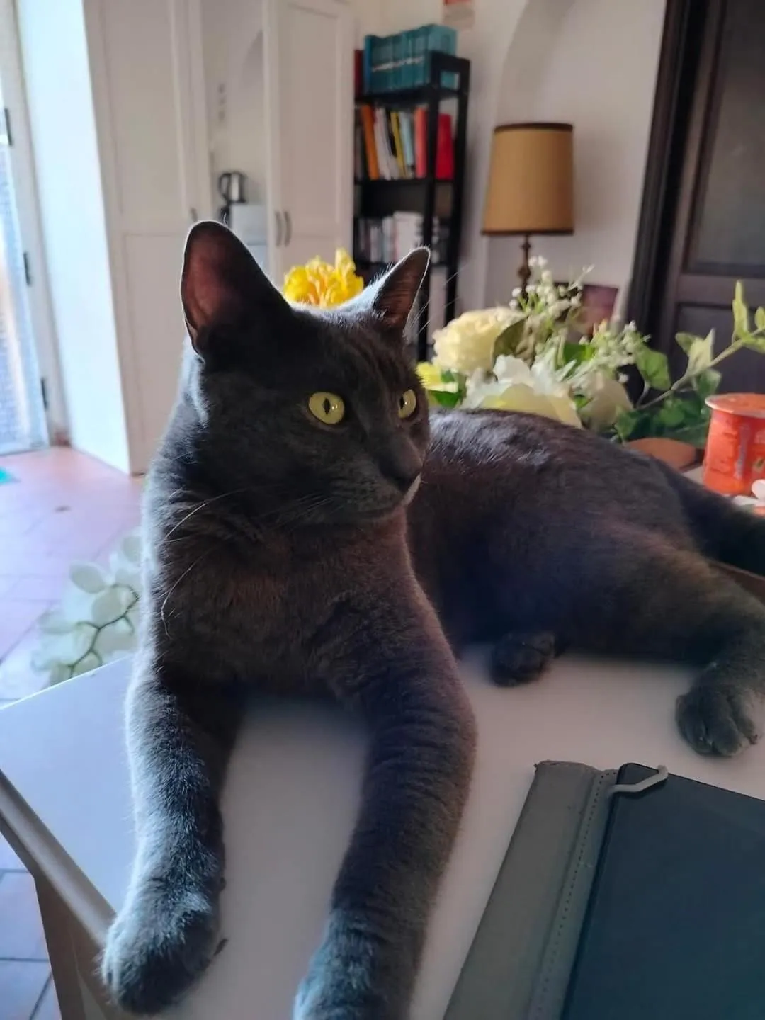 Lobby or reception in Il Cielo di Lucio