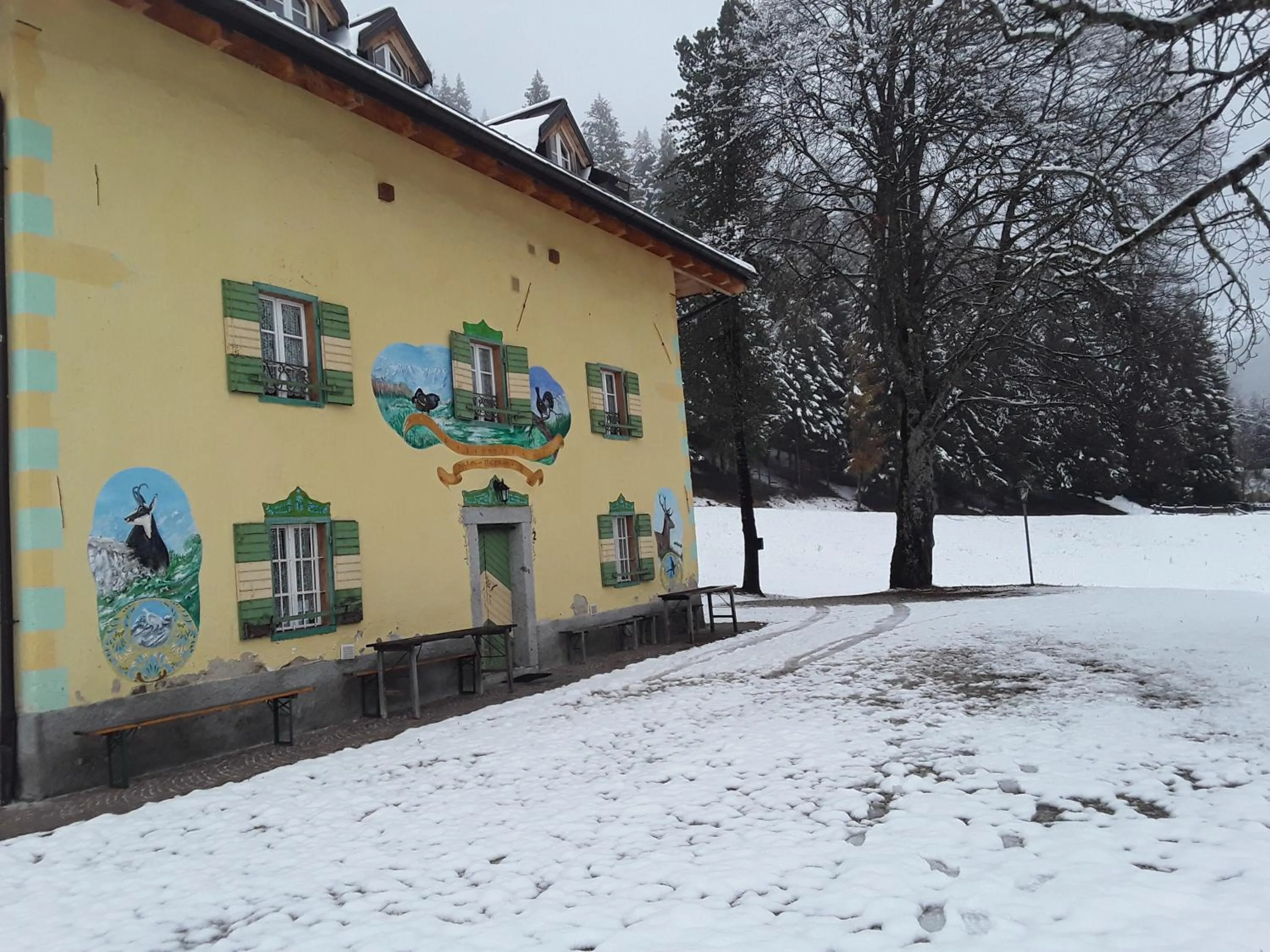 Property building in Chalet Musiera