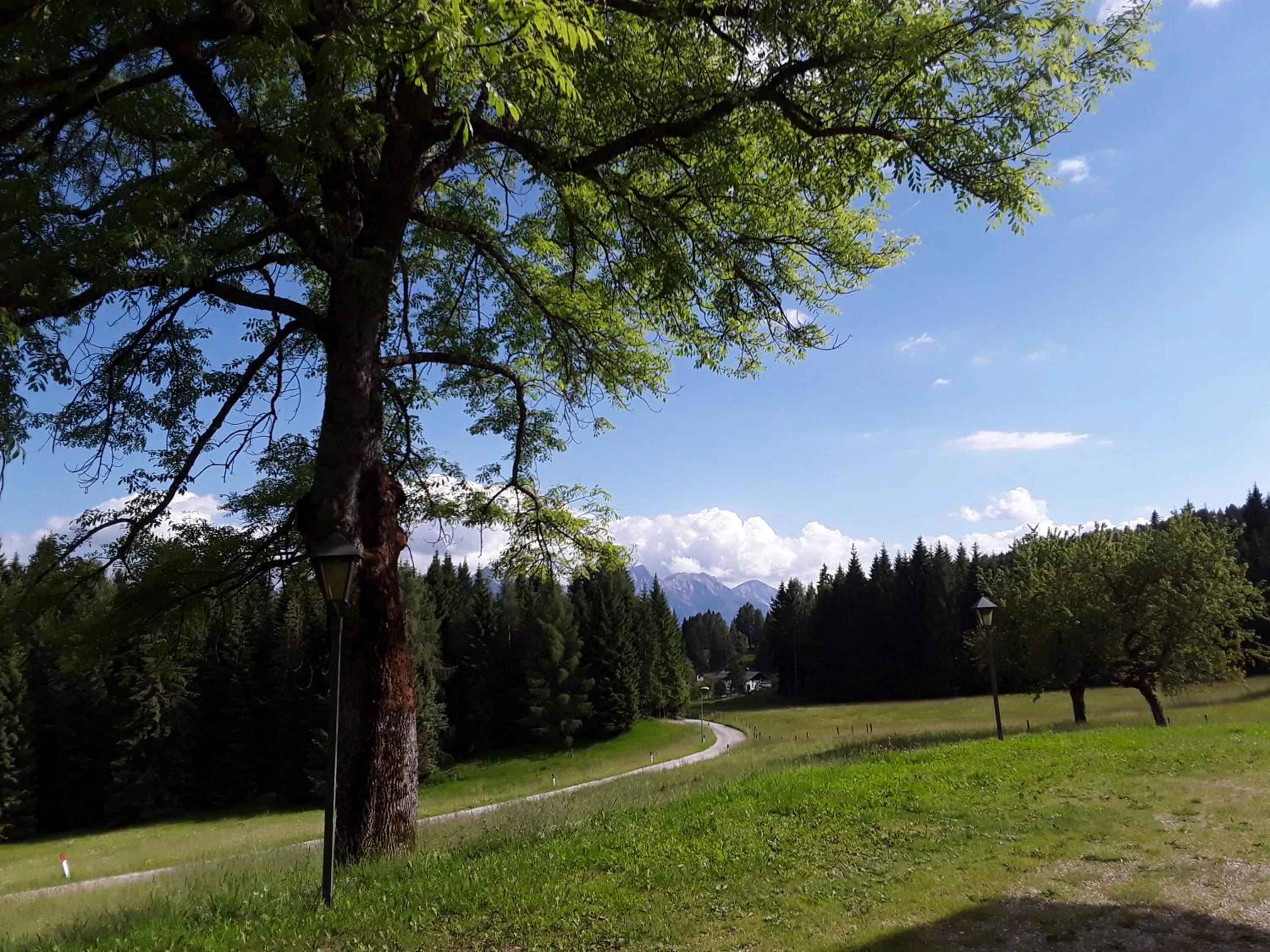 Activities in Chalet Musiera