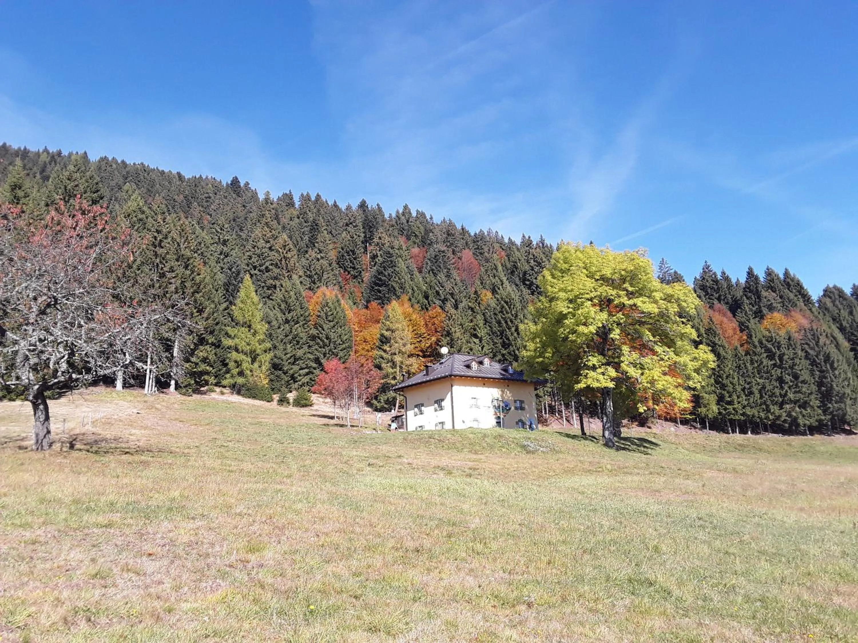 Decorative detail in Chalet Musiera
