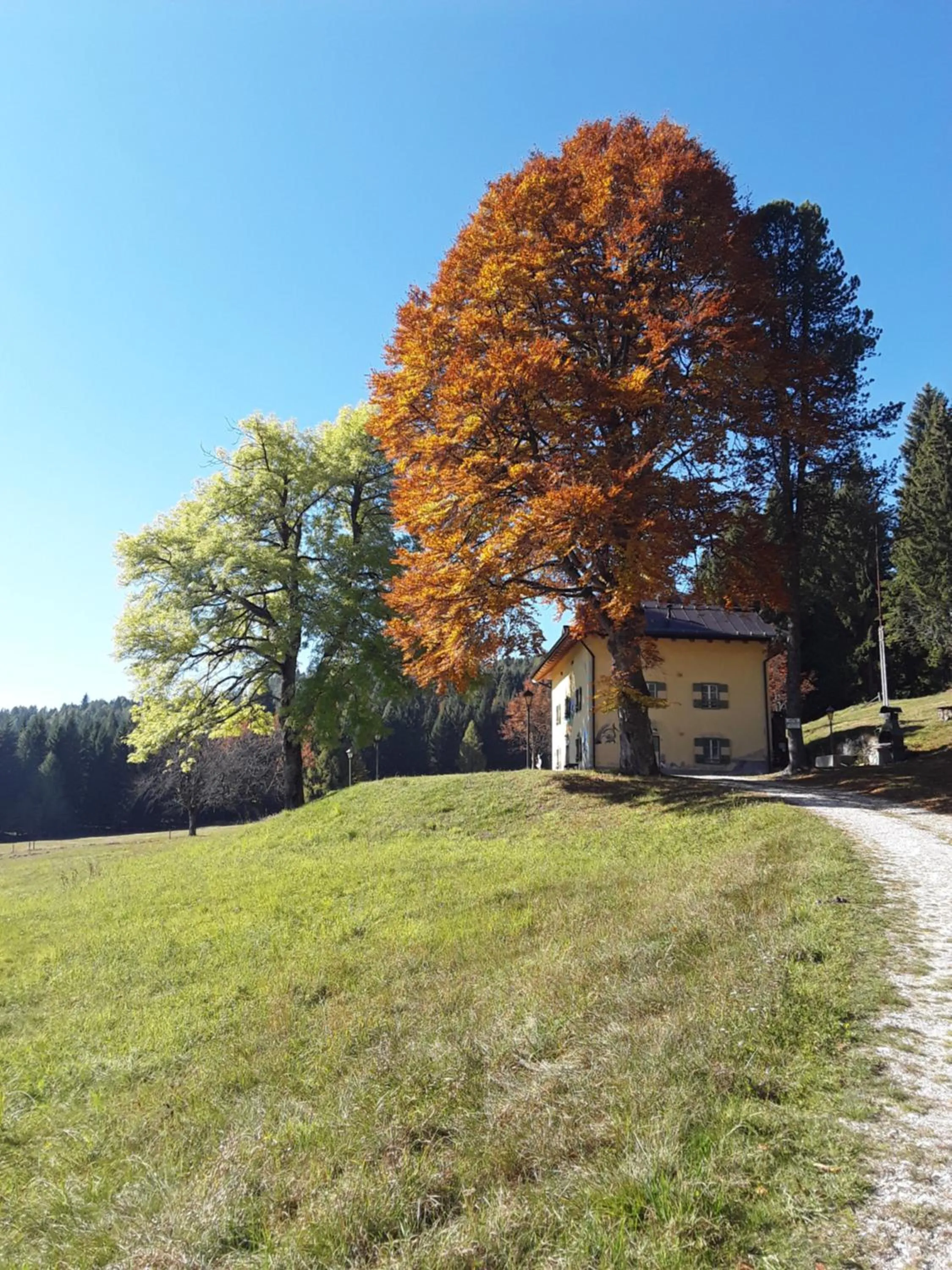 Property building in Chalet Musiera