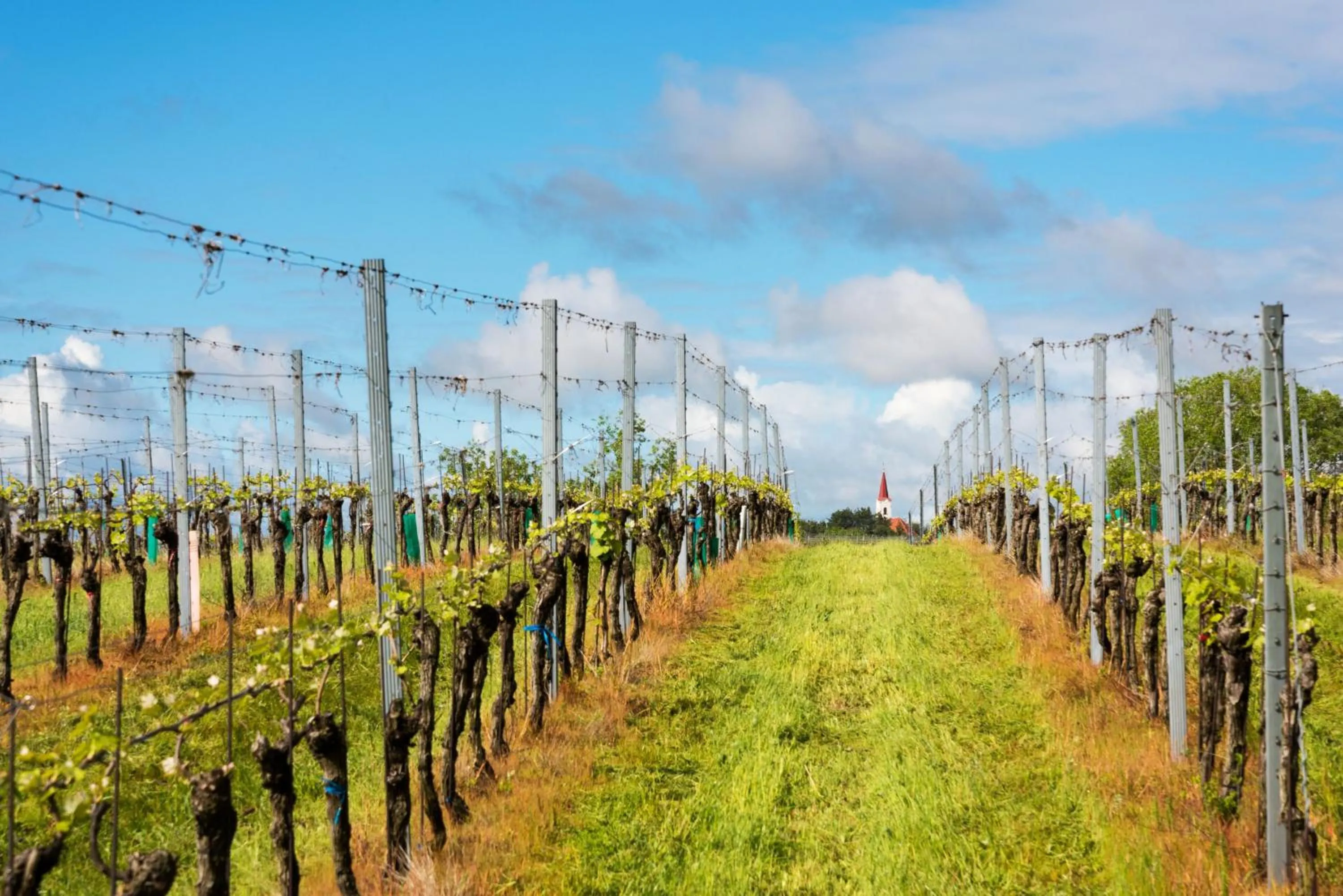 Nearby landmark in Holiday Inn Express & Suites - Dripping Springs - Austin Area by IHG