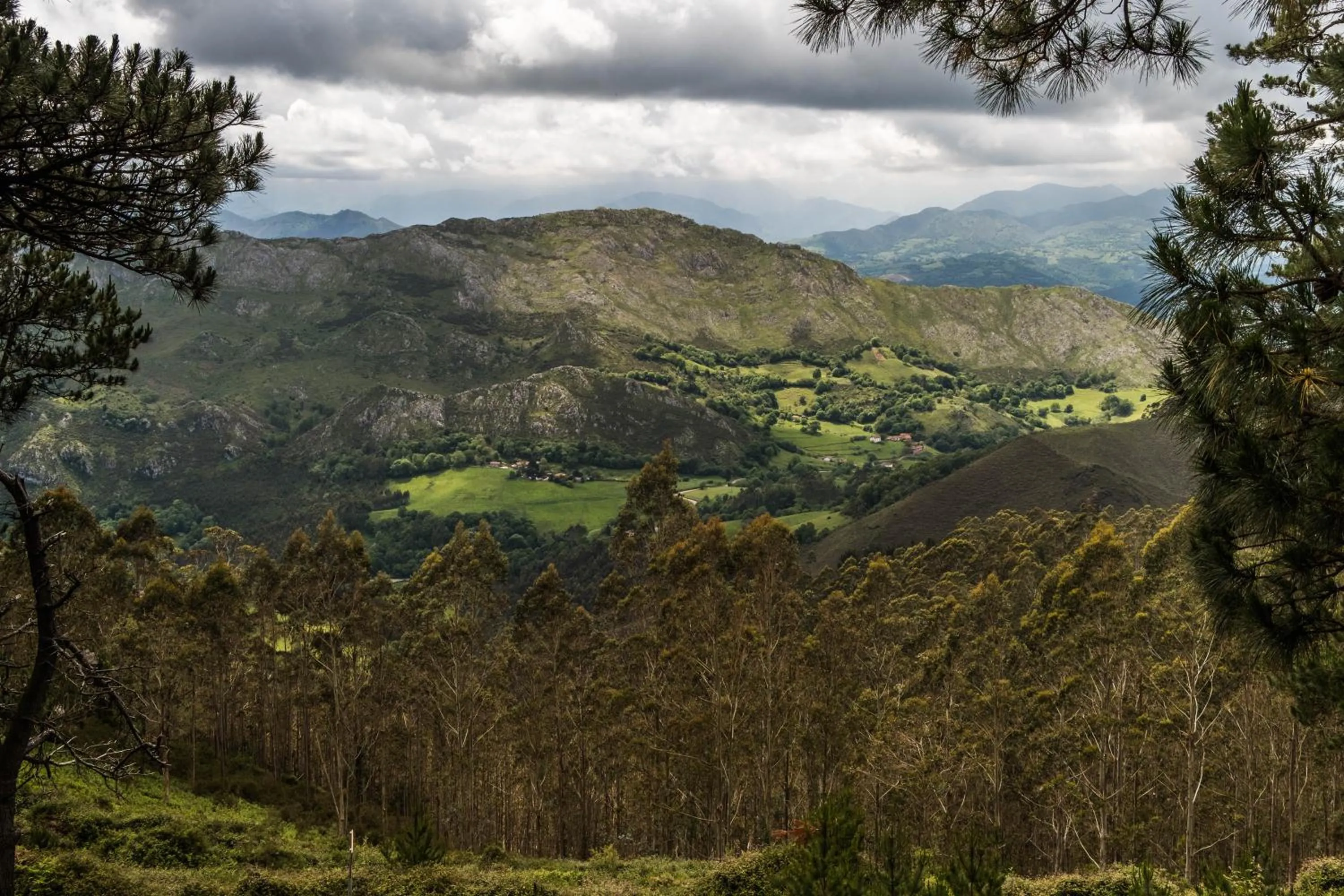 Bajo Los Tilos