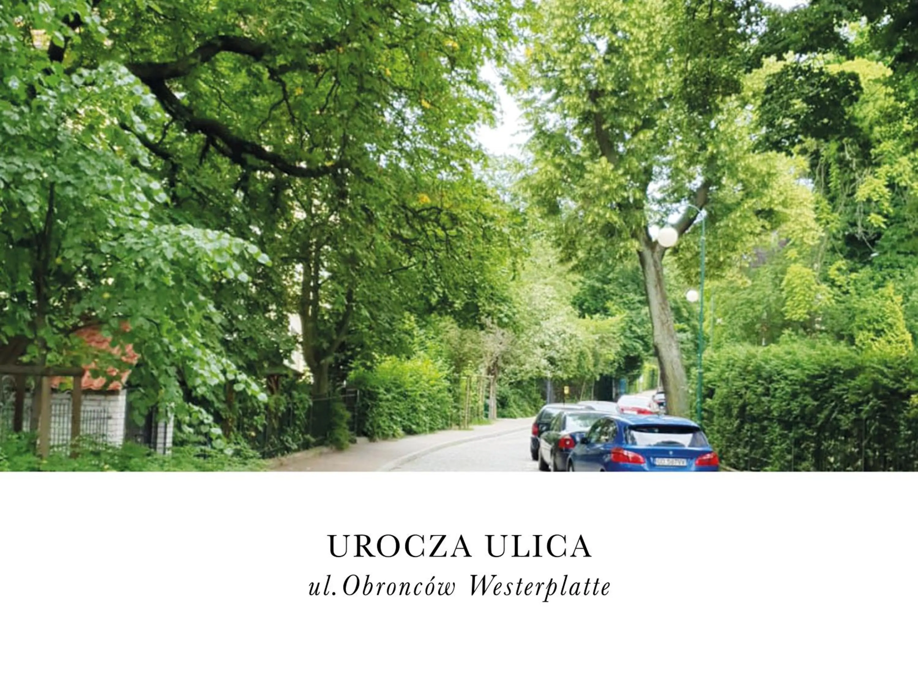 Off site in Villa Antonina