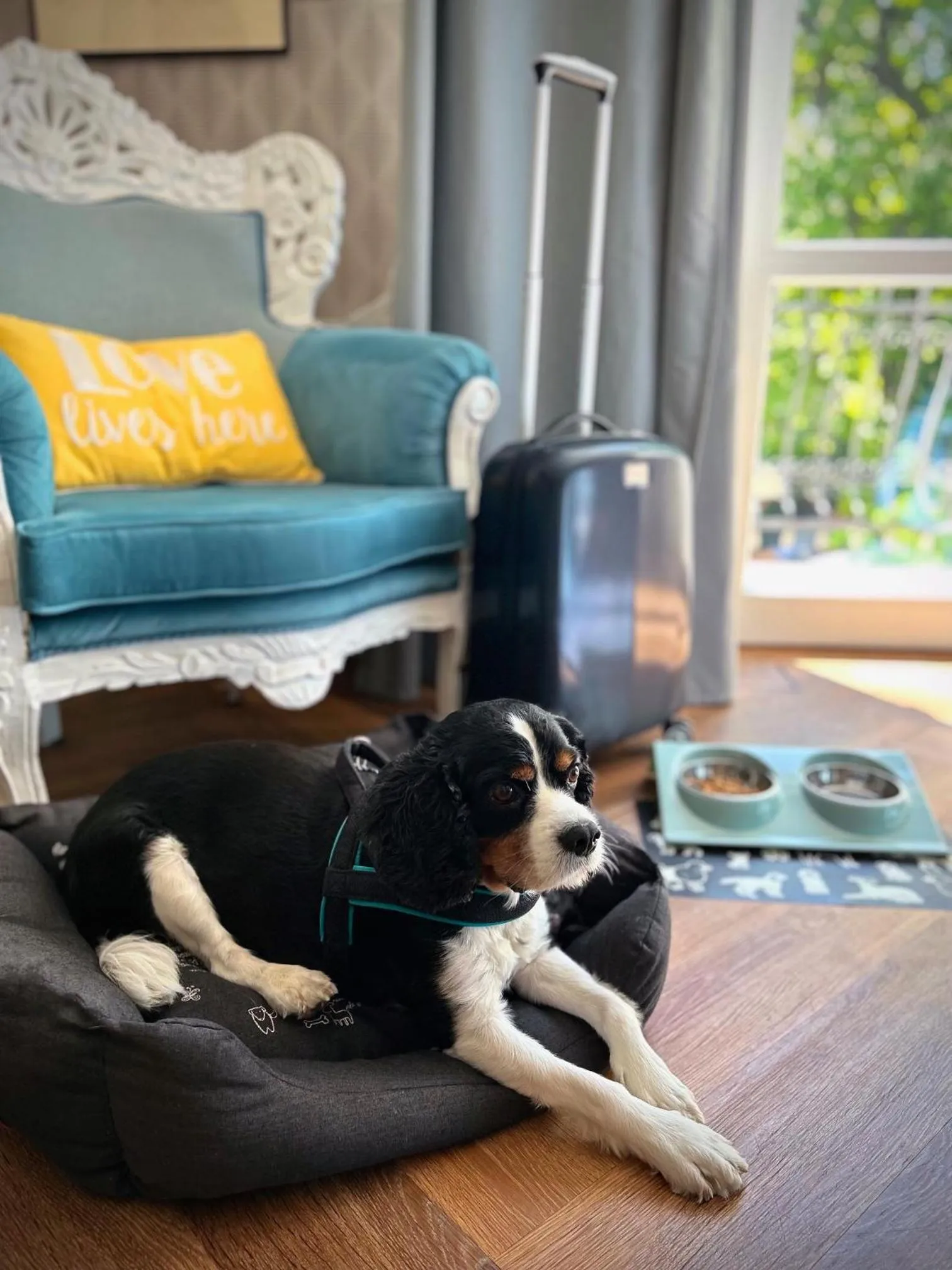 Animals in Villa Antonina