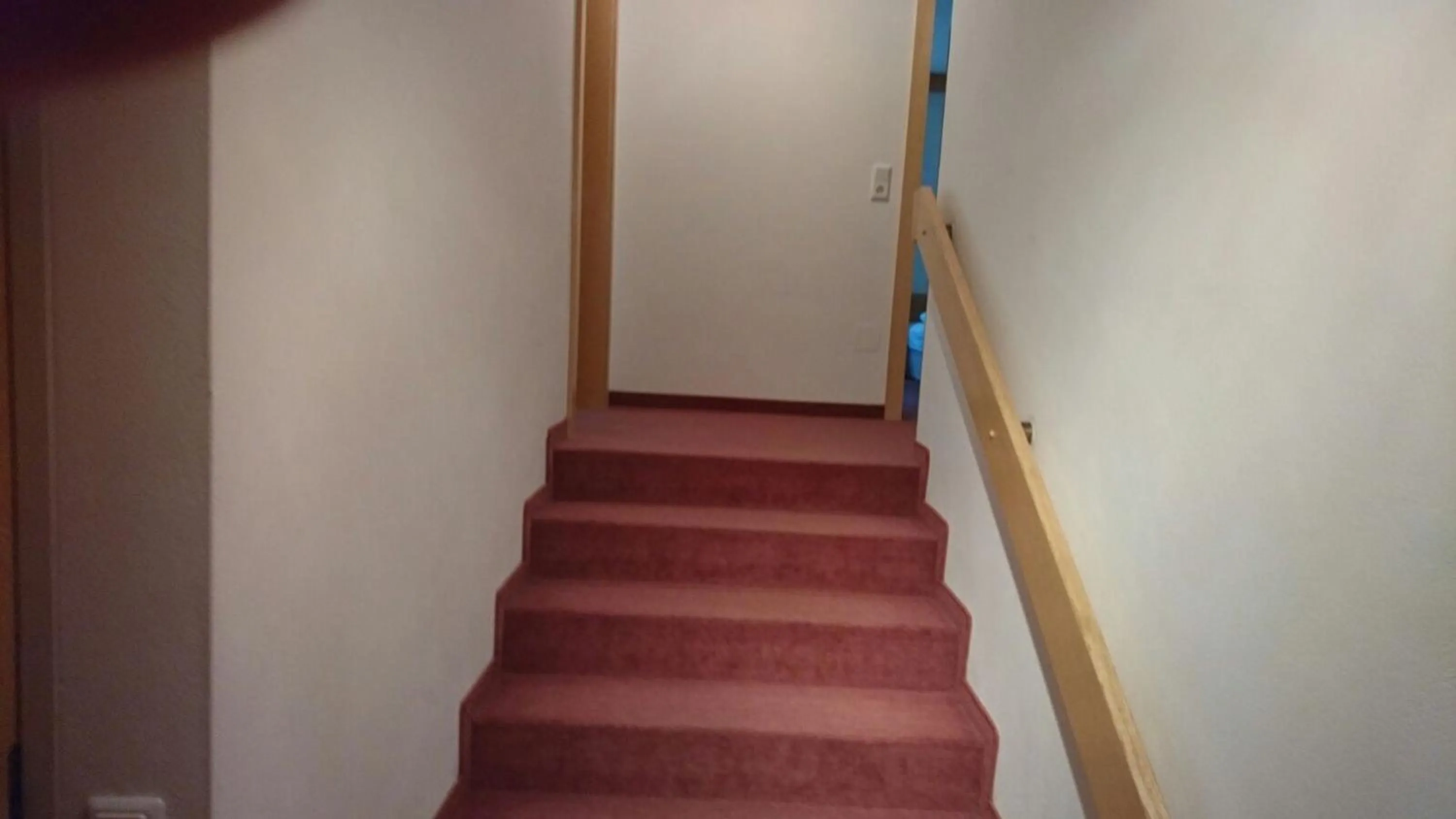 Area and facilities in Appartementhotel Hechenberg